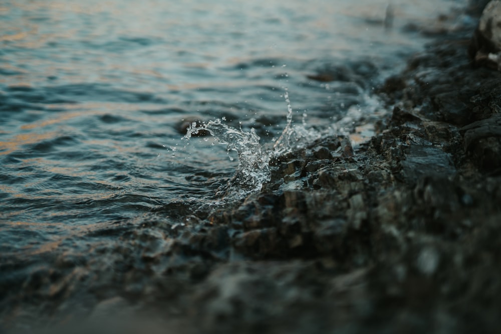 water splash on brown rock