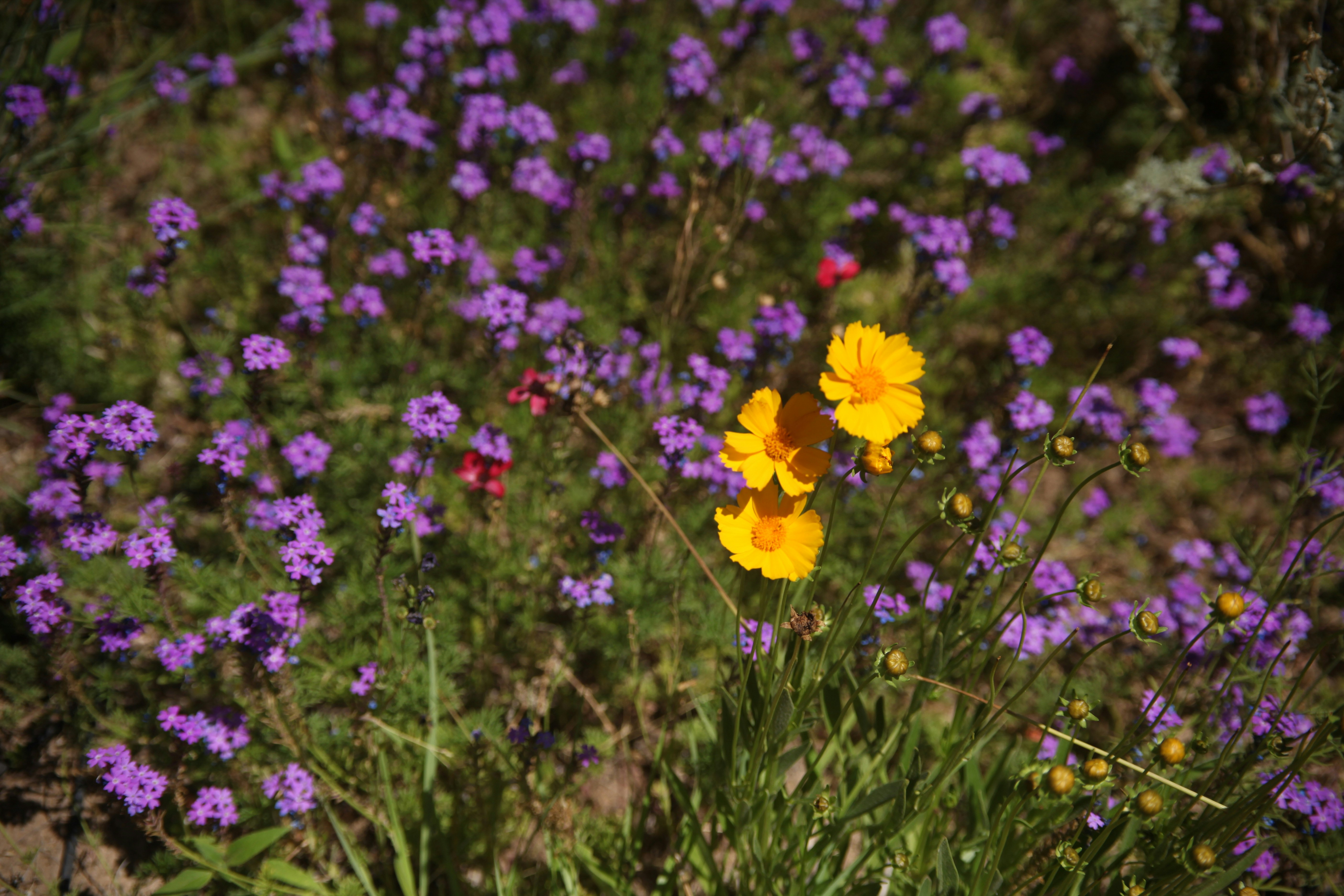 Photo by bradleysingleton