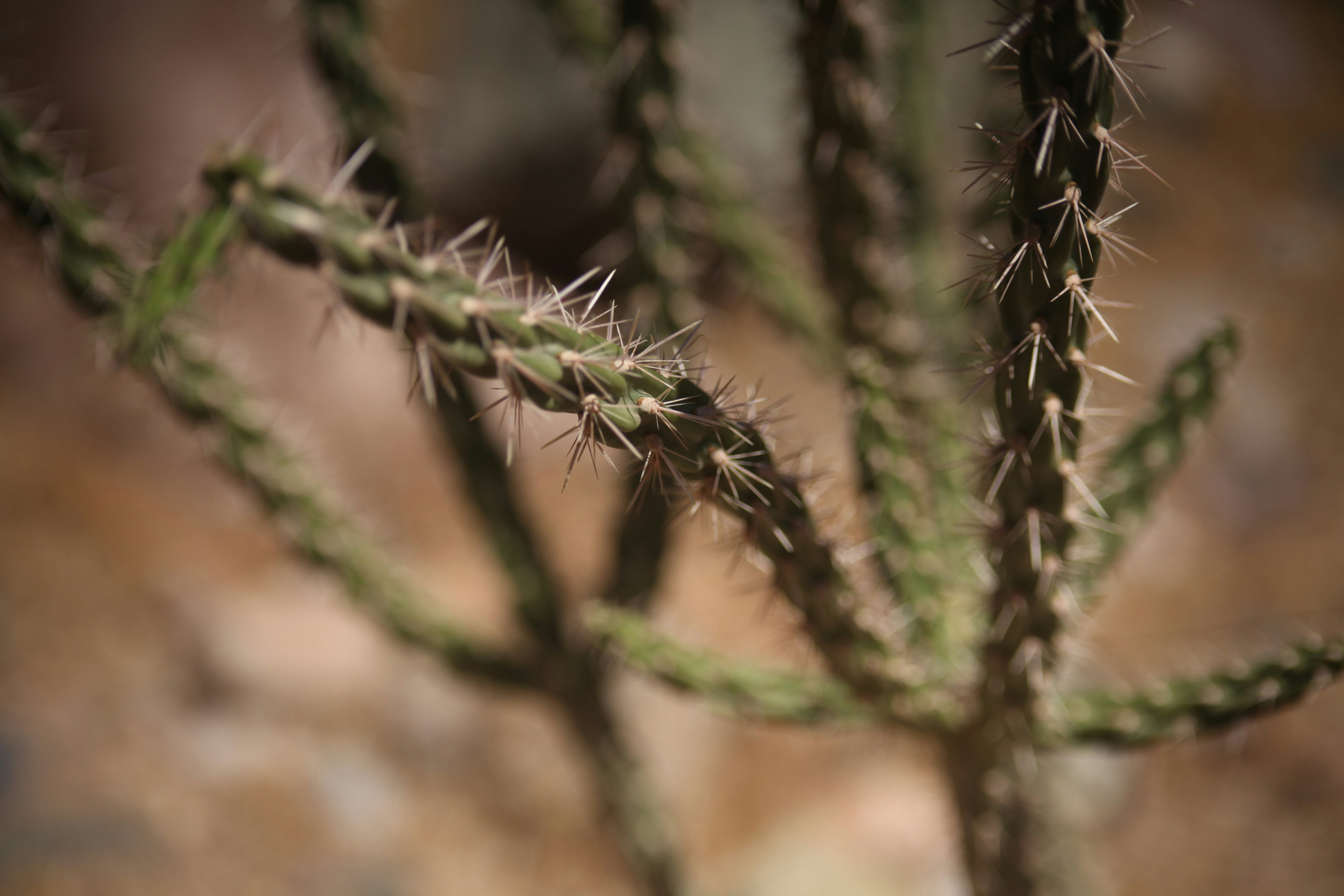 Photo by bradleysingleton