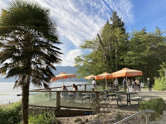 A sunny view of Ponto Beach with community members planting trees and setting up picnic areas.