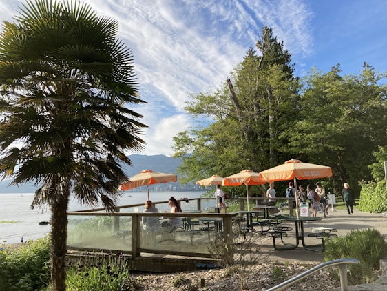 A sunny view of Ponto Beach with community members planting trees and setting up picnic areas.