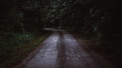 gray concrete road between green trees during daytime