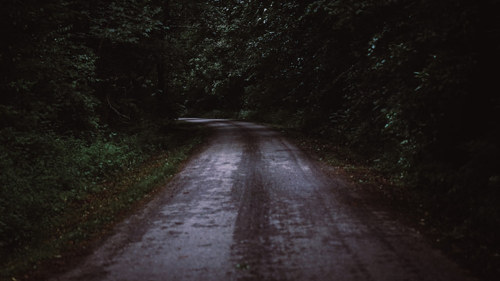 gray concrete road between green trees during daytime