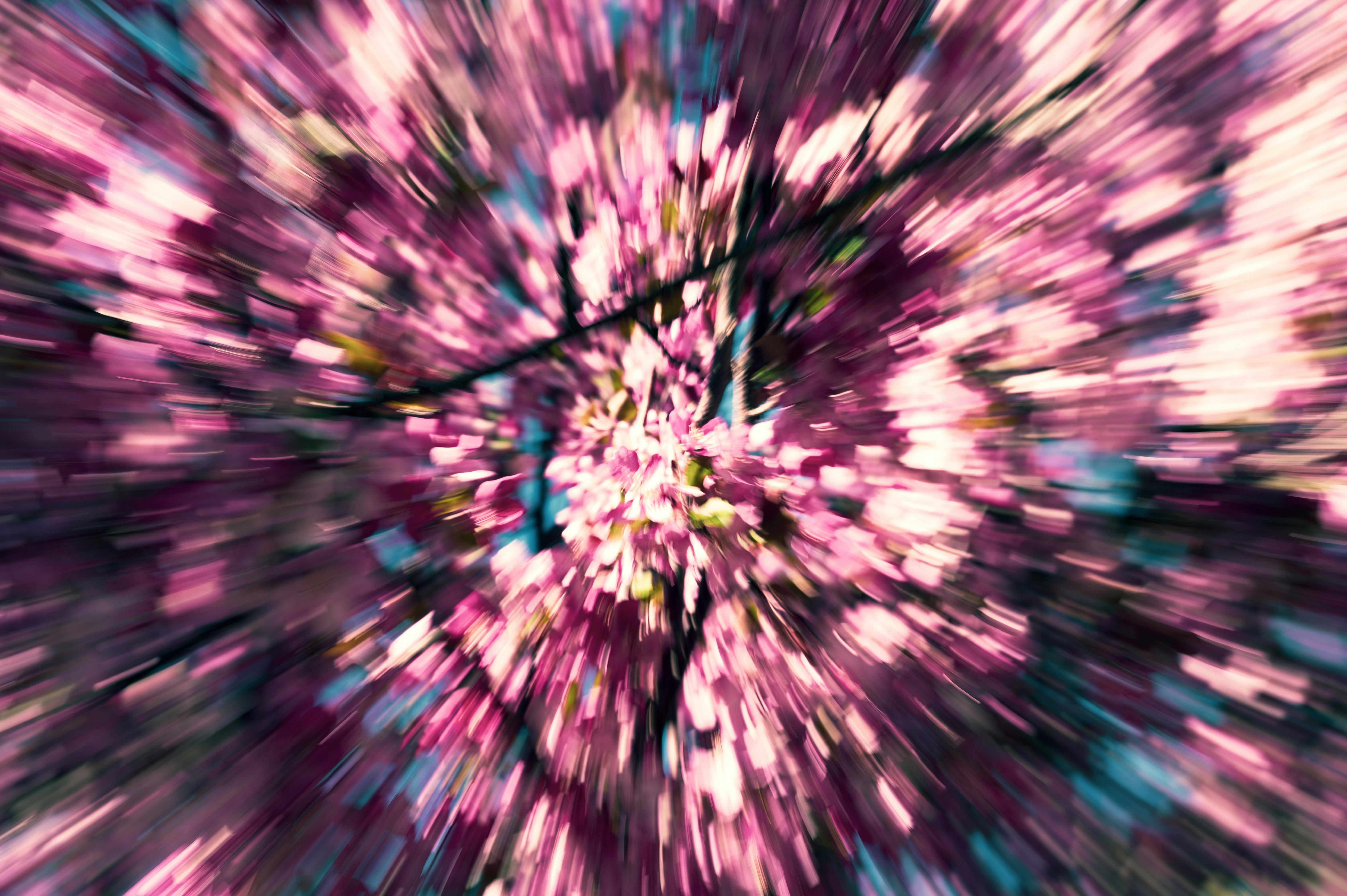 Photo by ryunosuke_kikuno