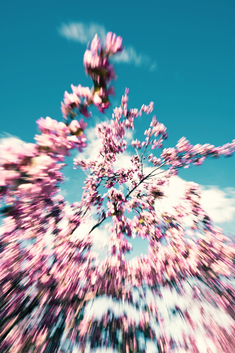 white and brown tree under blue sky during daytime