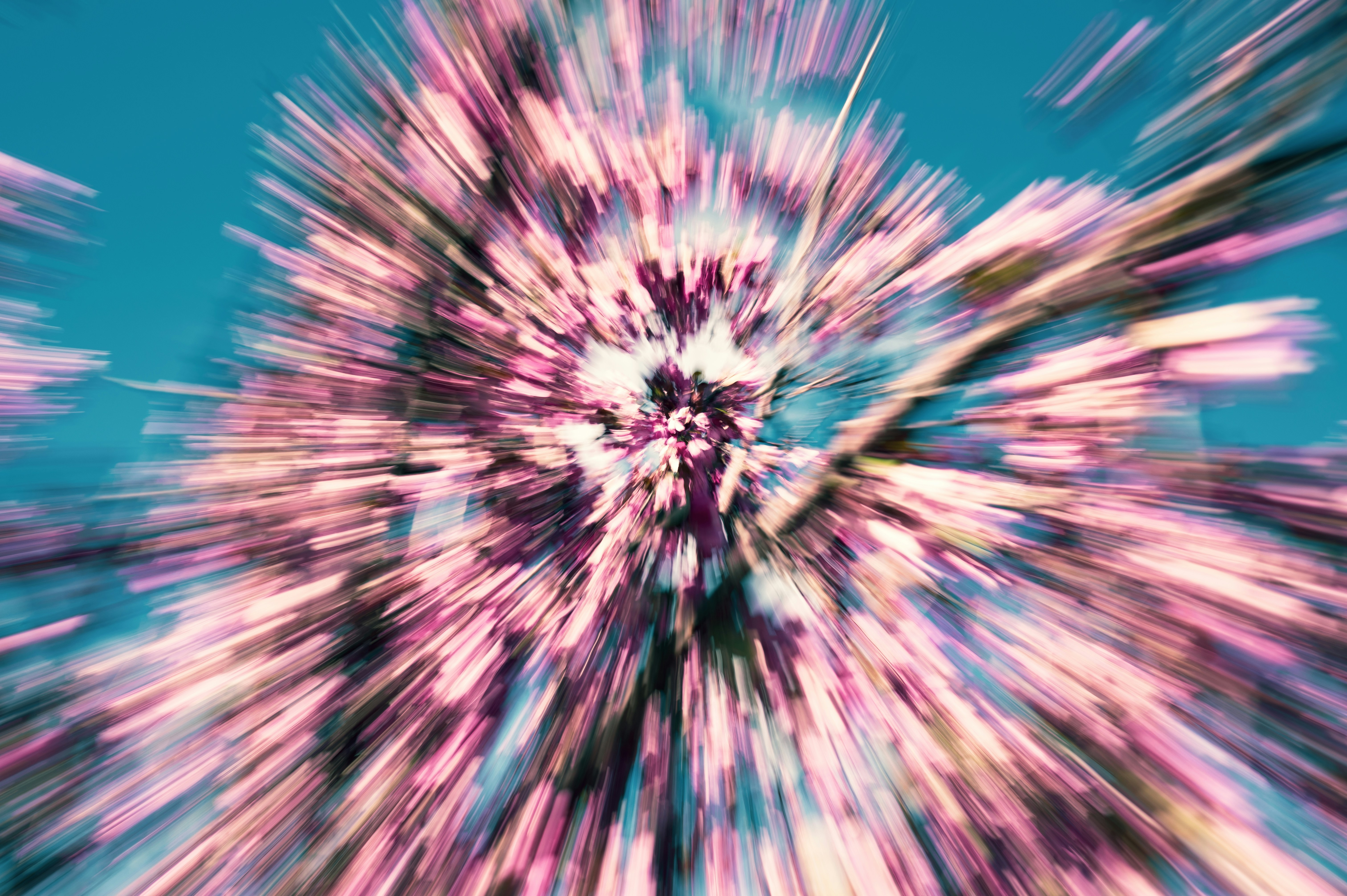 Photo by ryunosuke_kikuno