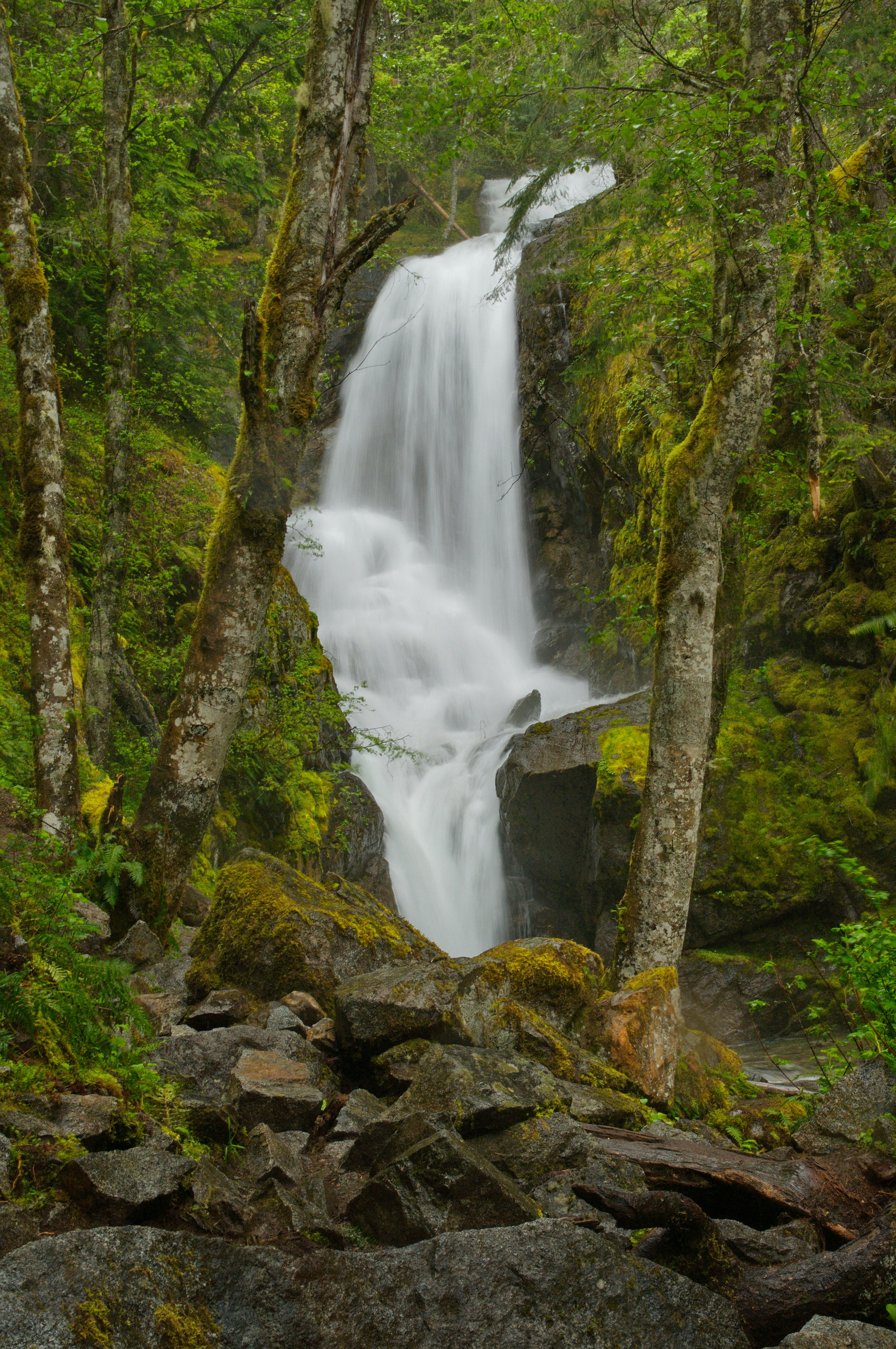 waterfalls in the middle of the forest