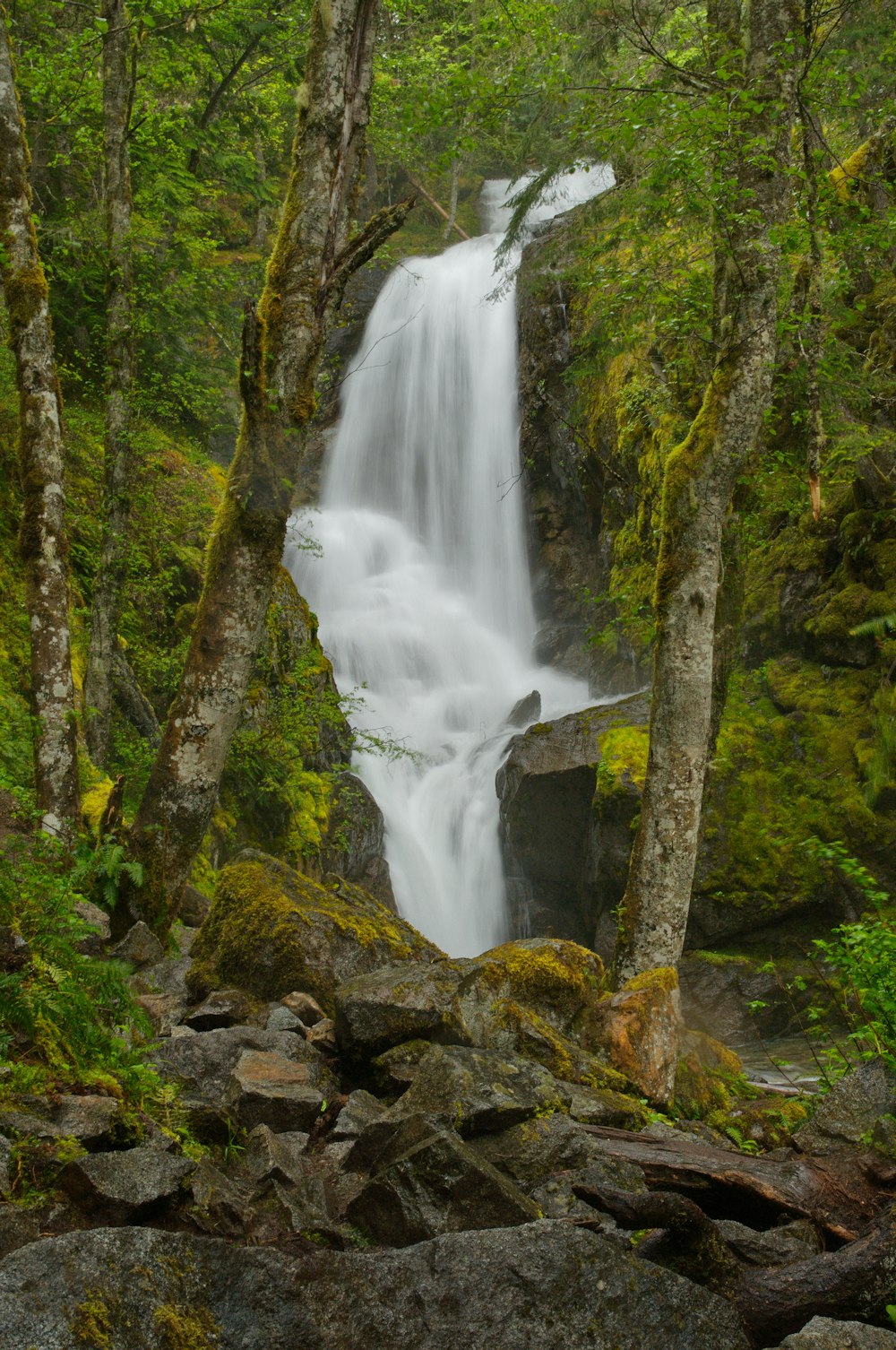 waterfalls in the middle of the forest