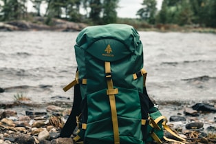 green and black backpack on brown wooden log