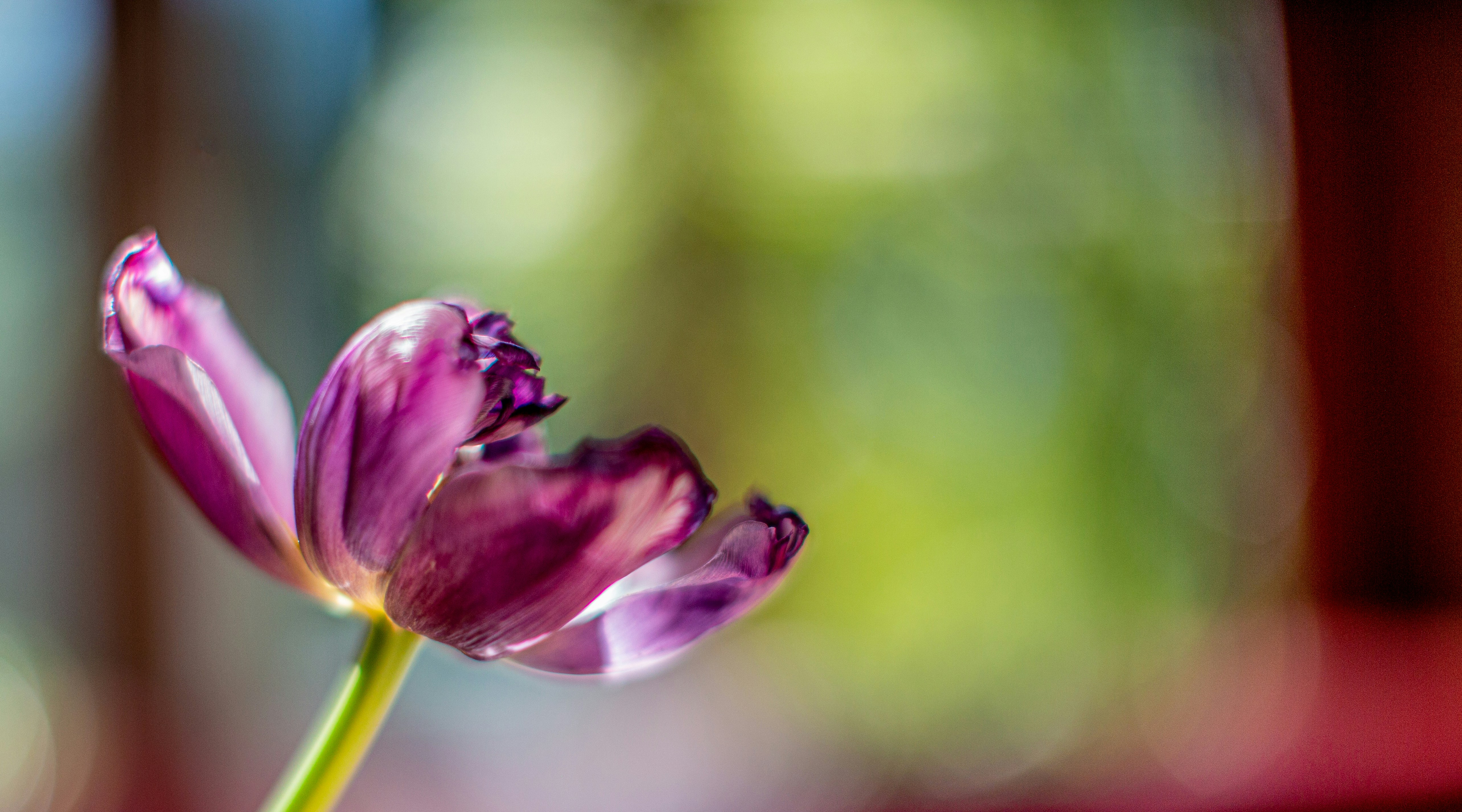 Photo by wilhelmgunkel