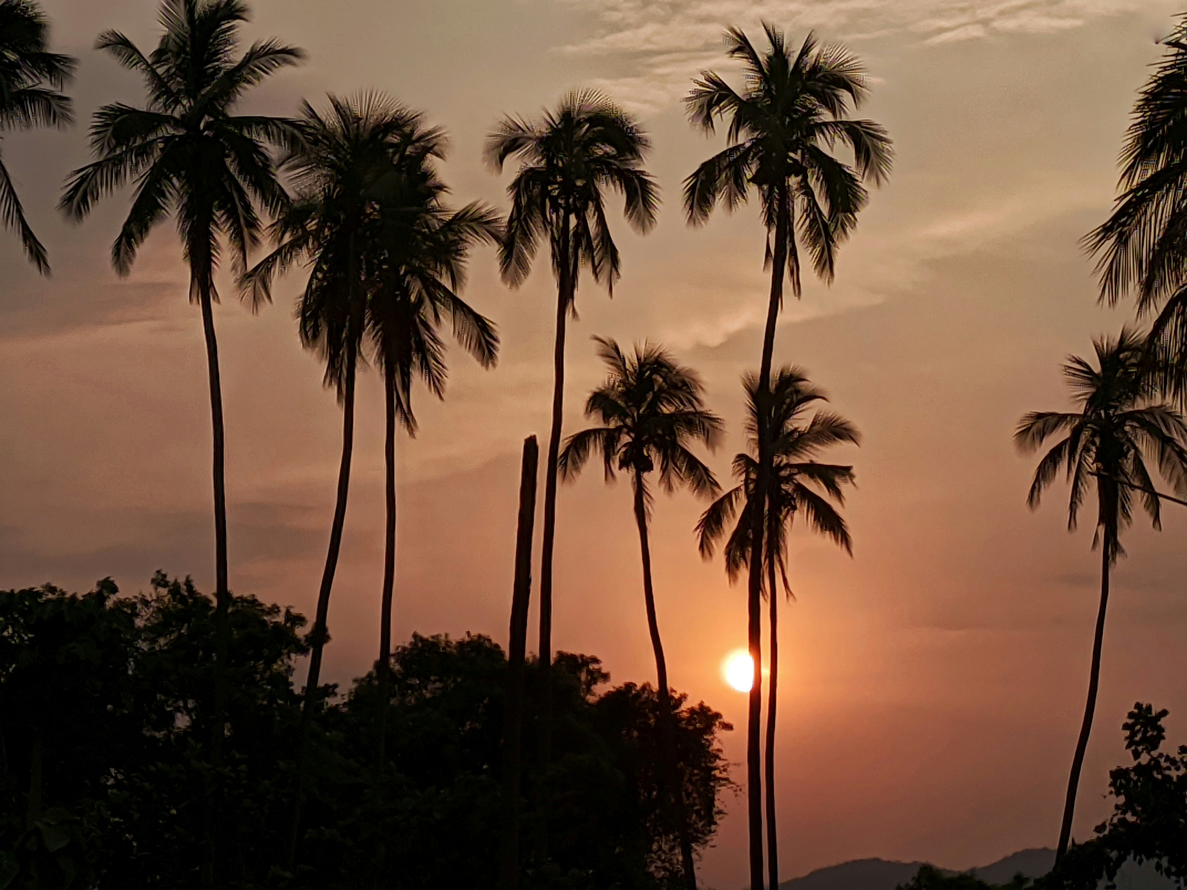 Photo by jasperamethyst