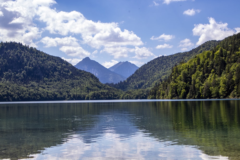 green trees near lake under blue sky during daytime