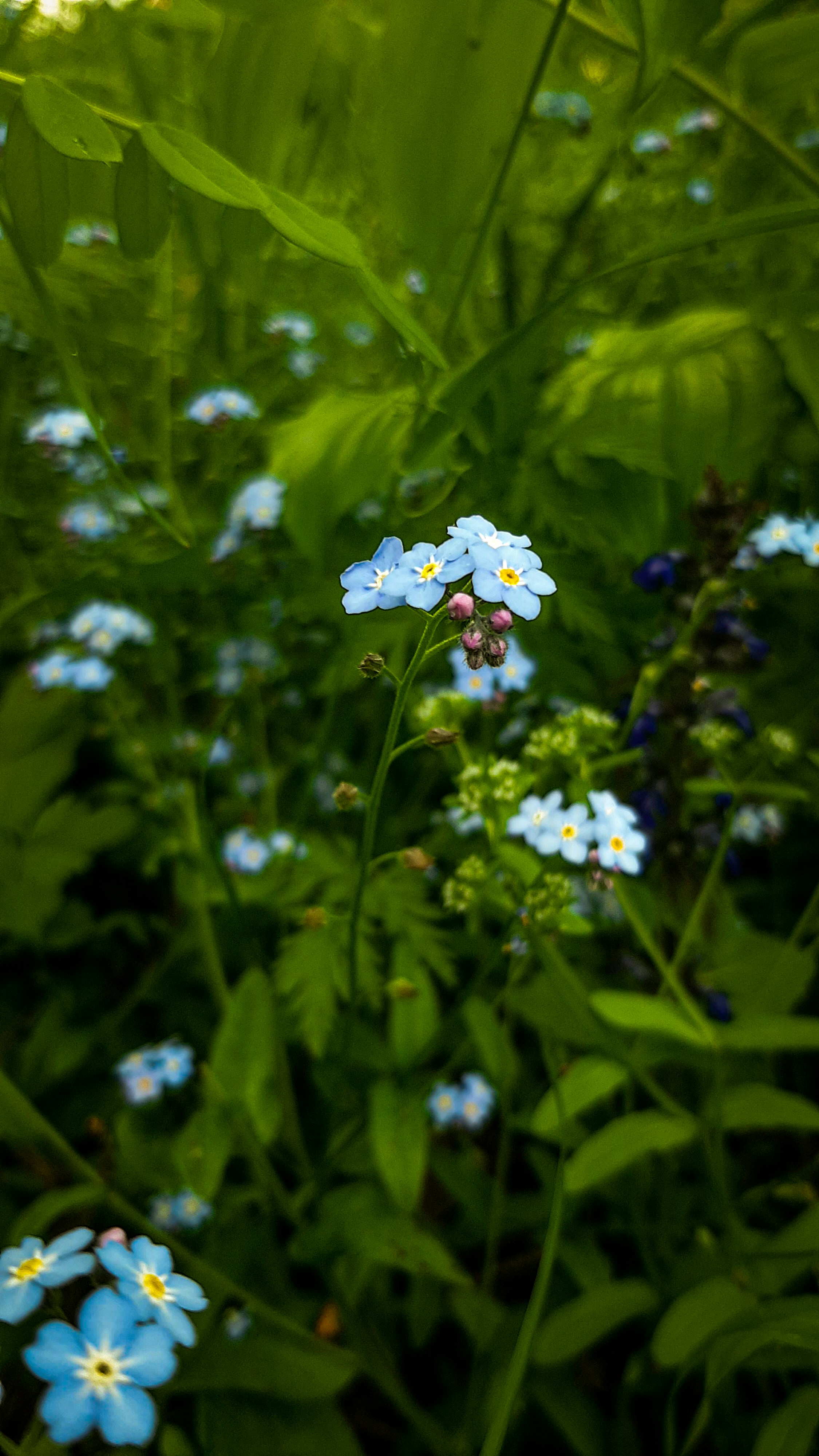 Photo by eliab