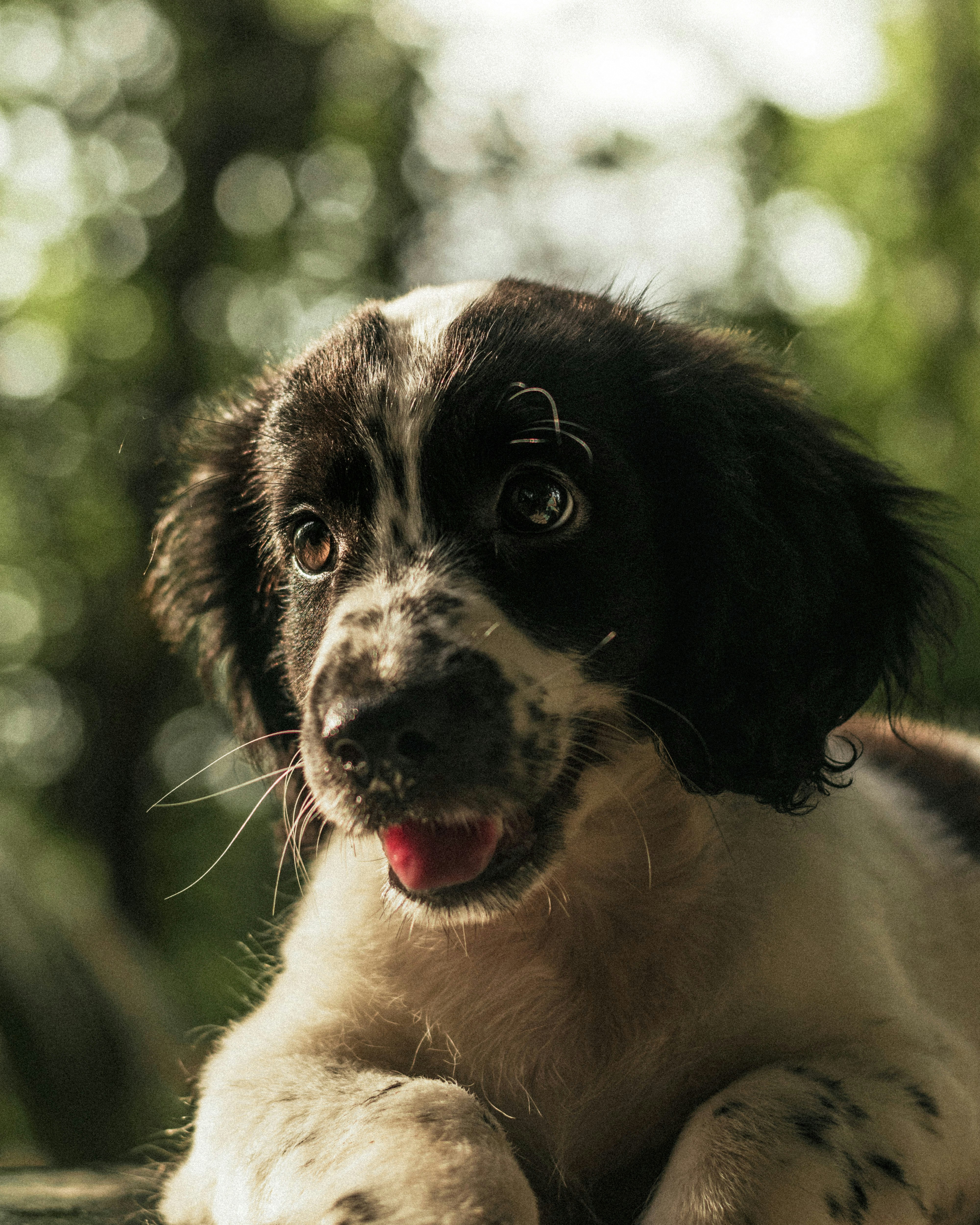 Photo by rubenstein111rebello