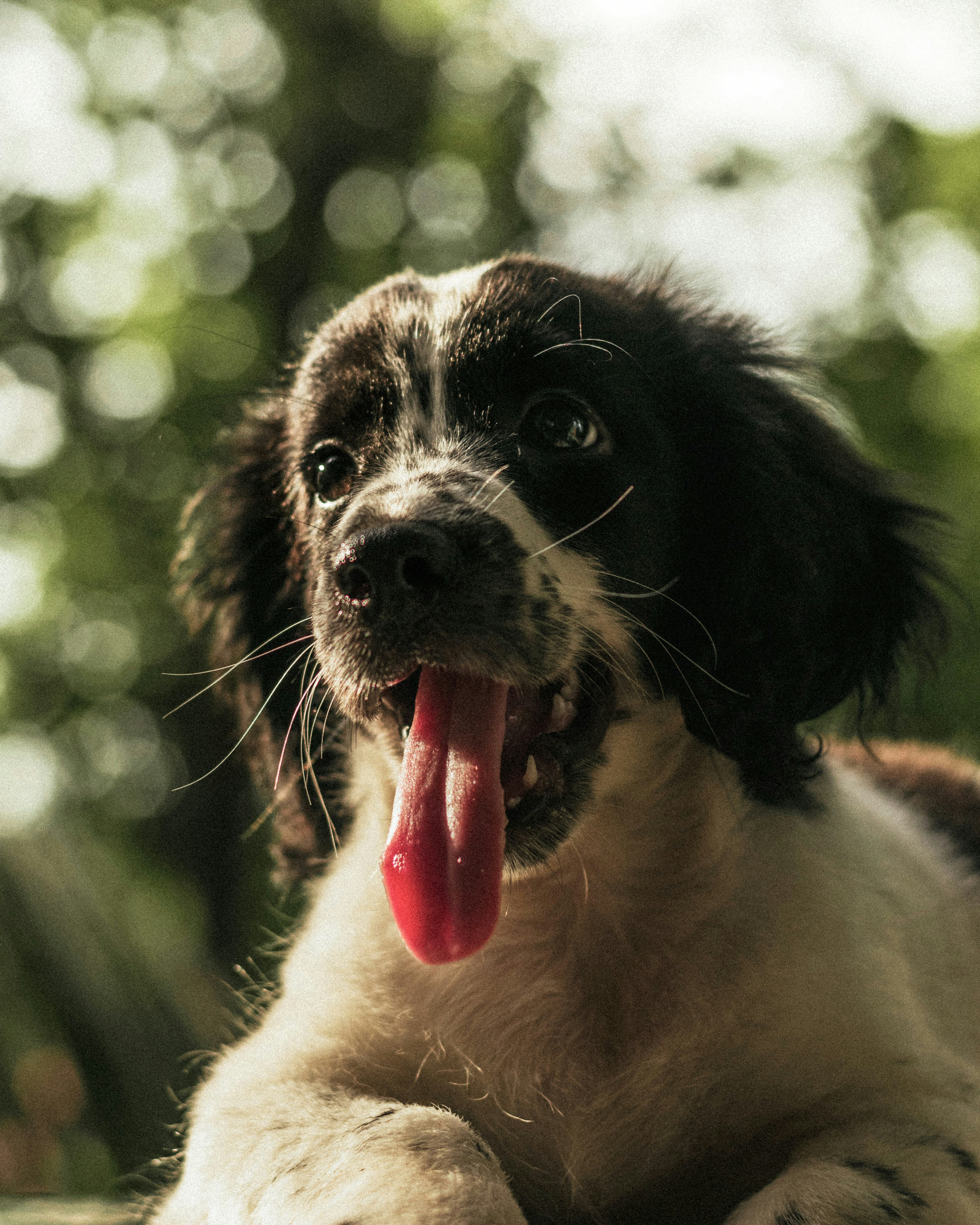 Photo by rubenstein111rebello