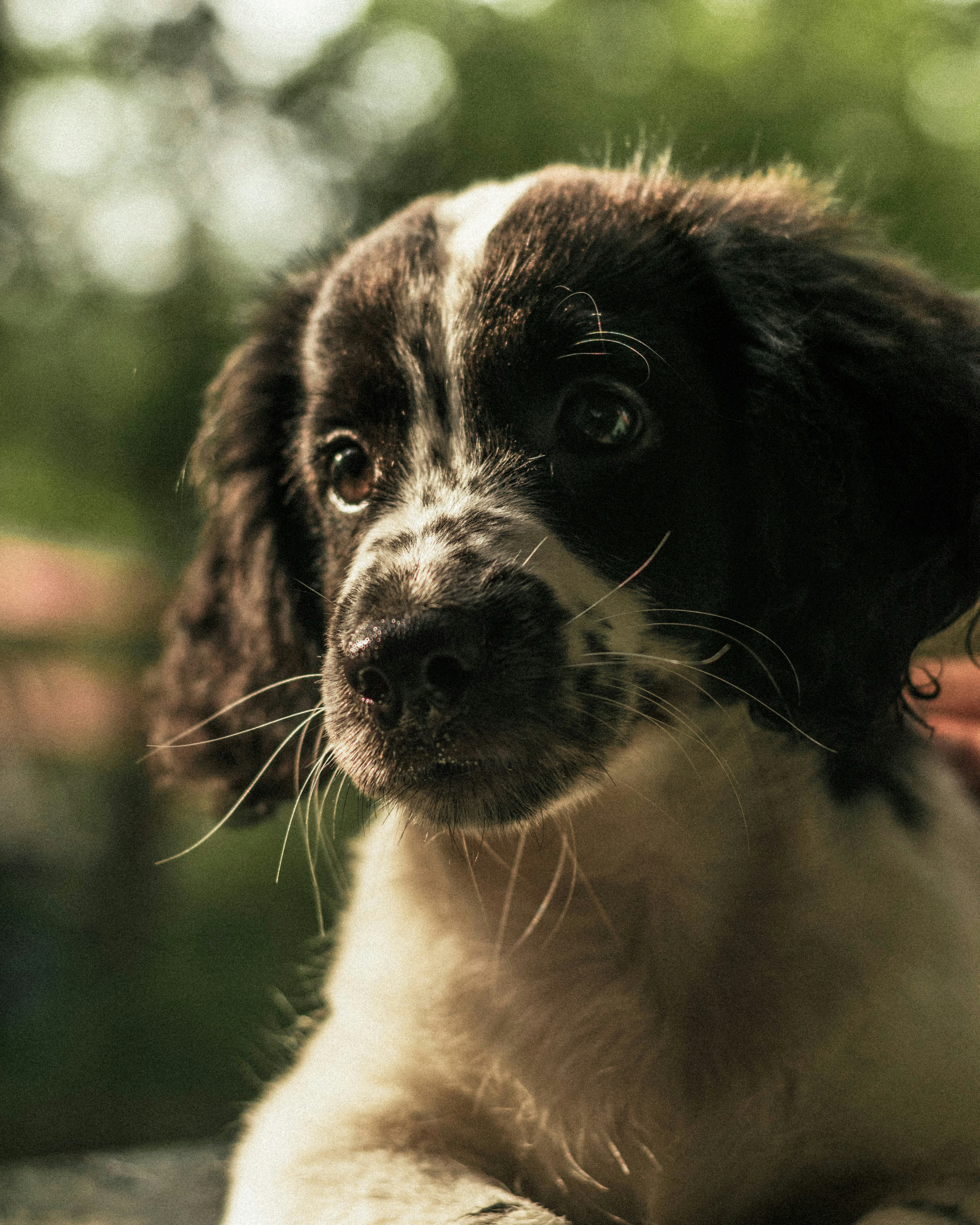 Photo by rubenstein111rebello