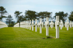 white wooden fence on green grass field during daytime