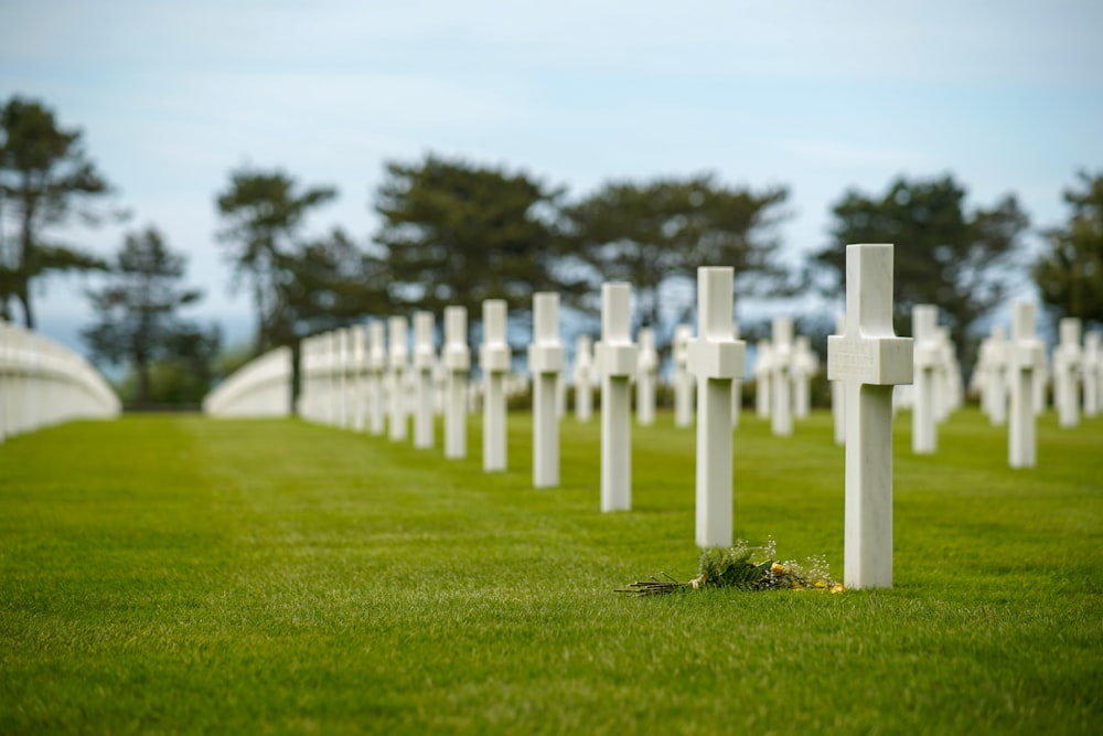 white wooden fence on green grass field during daytime