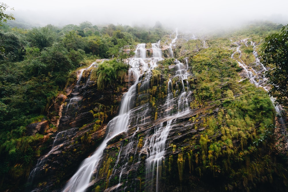 waterfalls in the middle of green trees