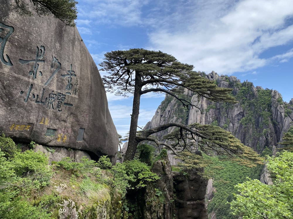 gray rock formation near green trees during daytime