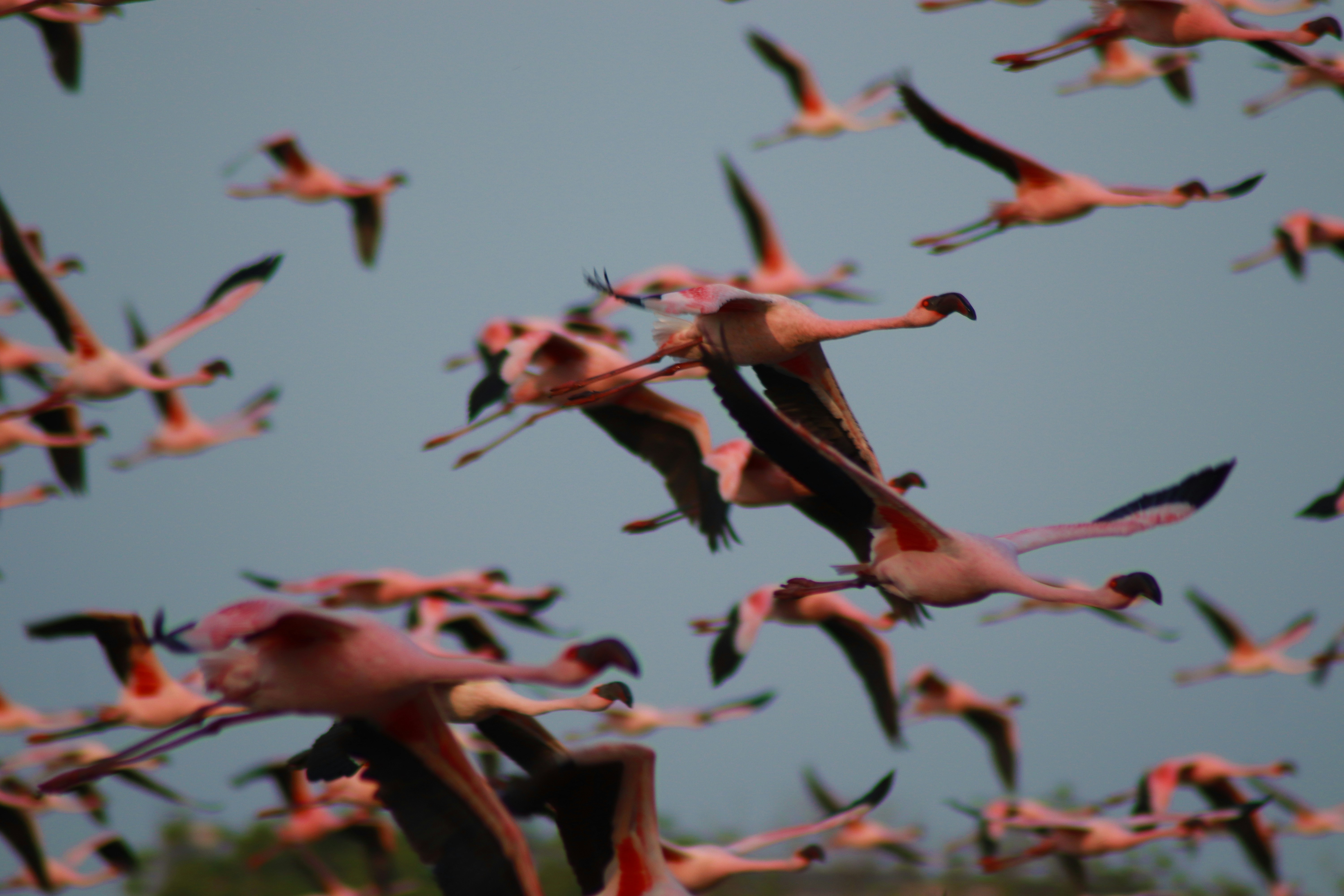 If That's The Truth, Do Something!