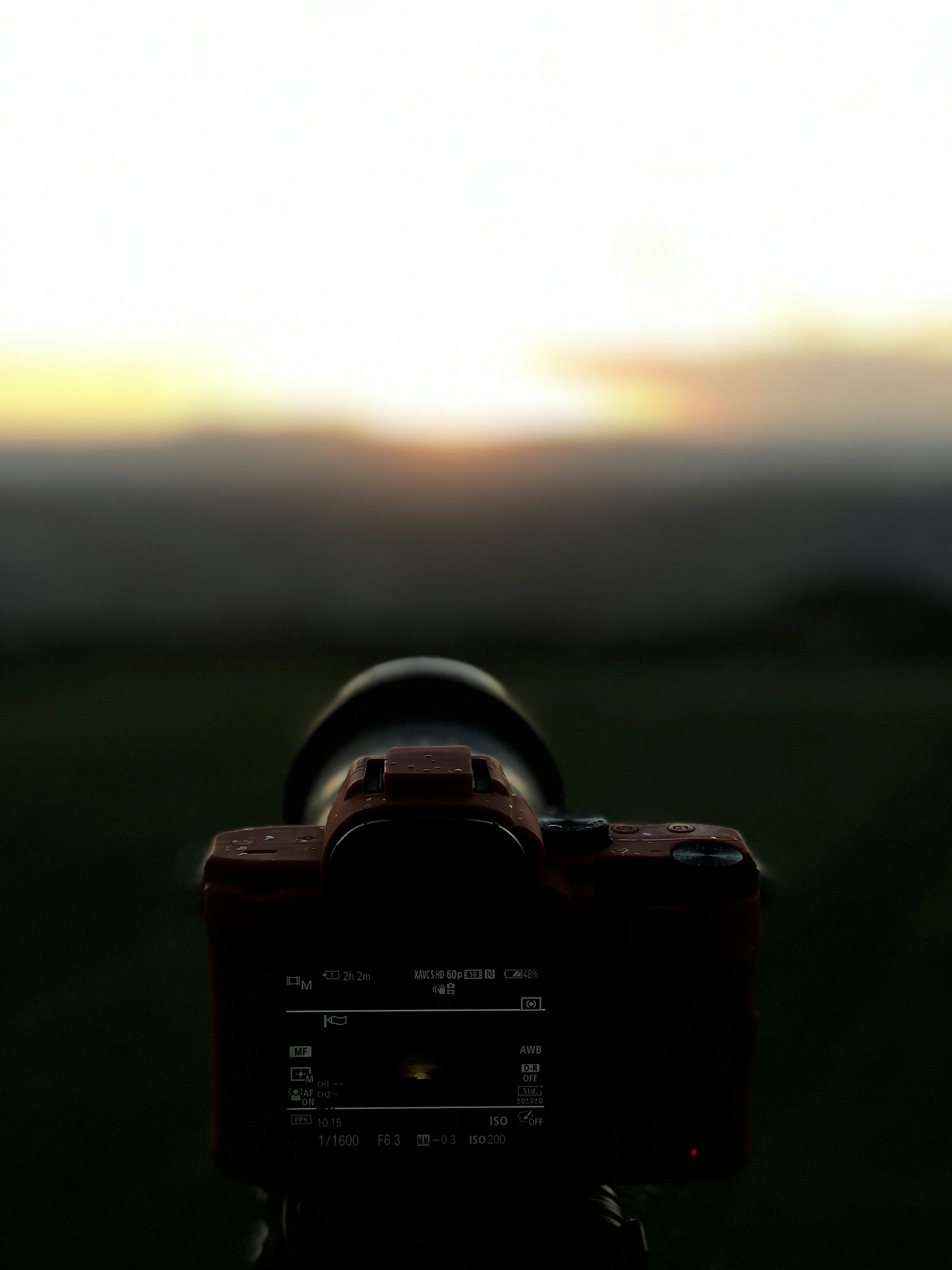 black camera on green grass during sunset