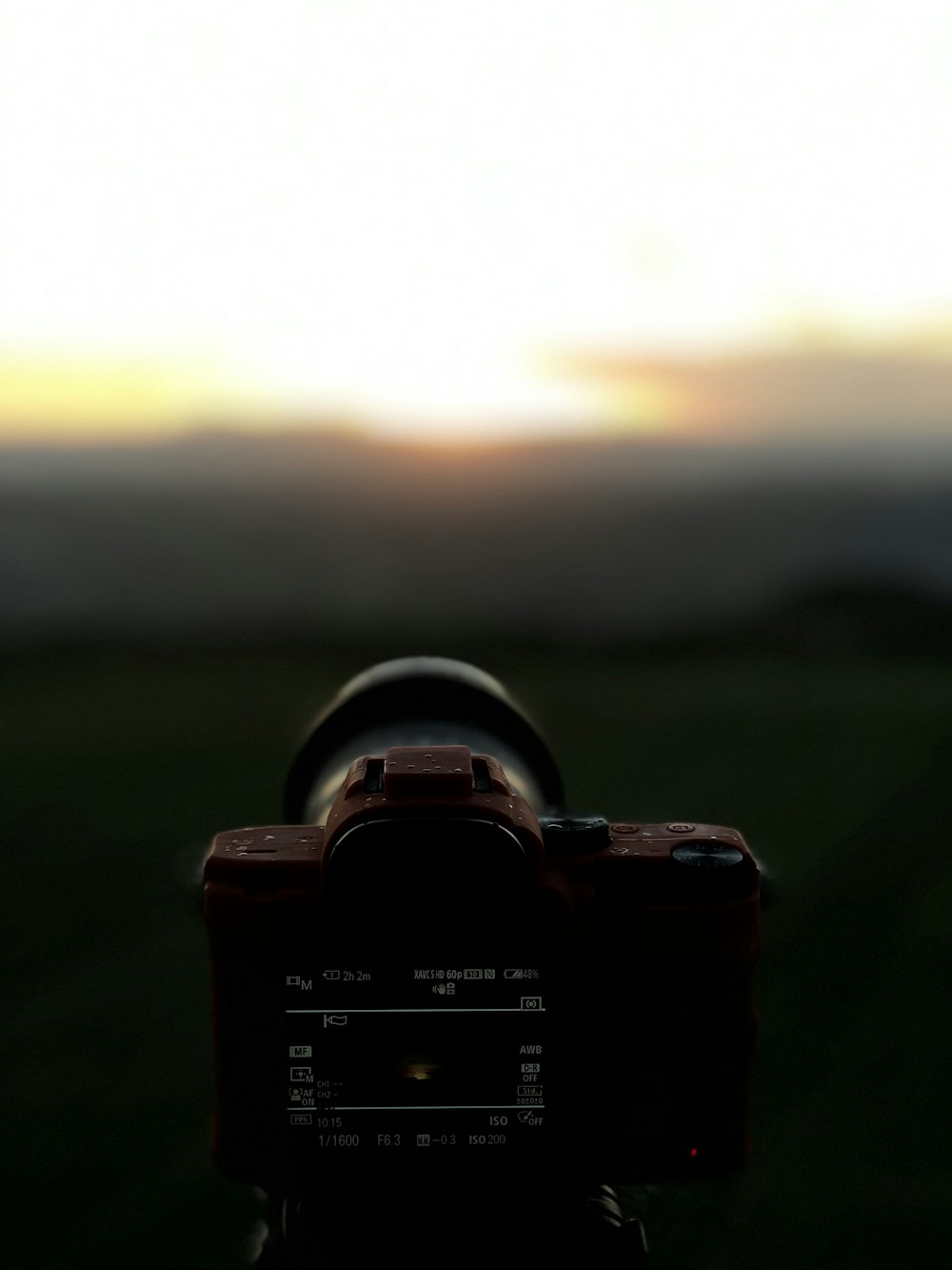 black camera on green grass during sunset