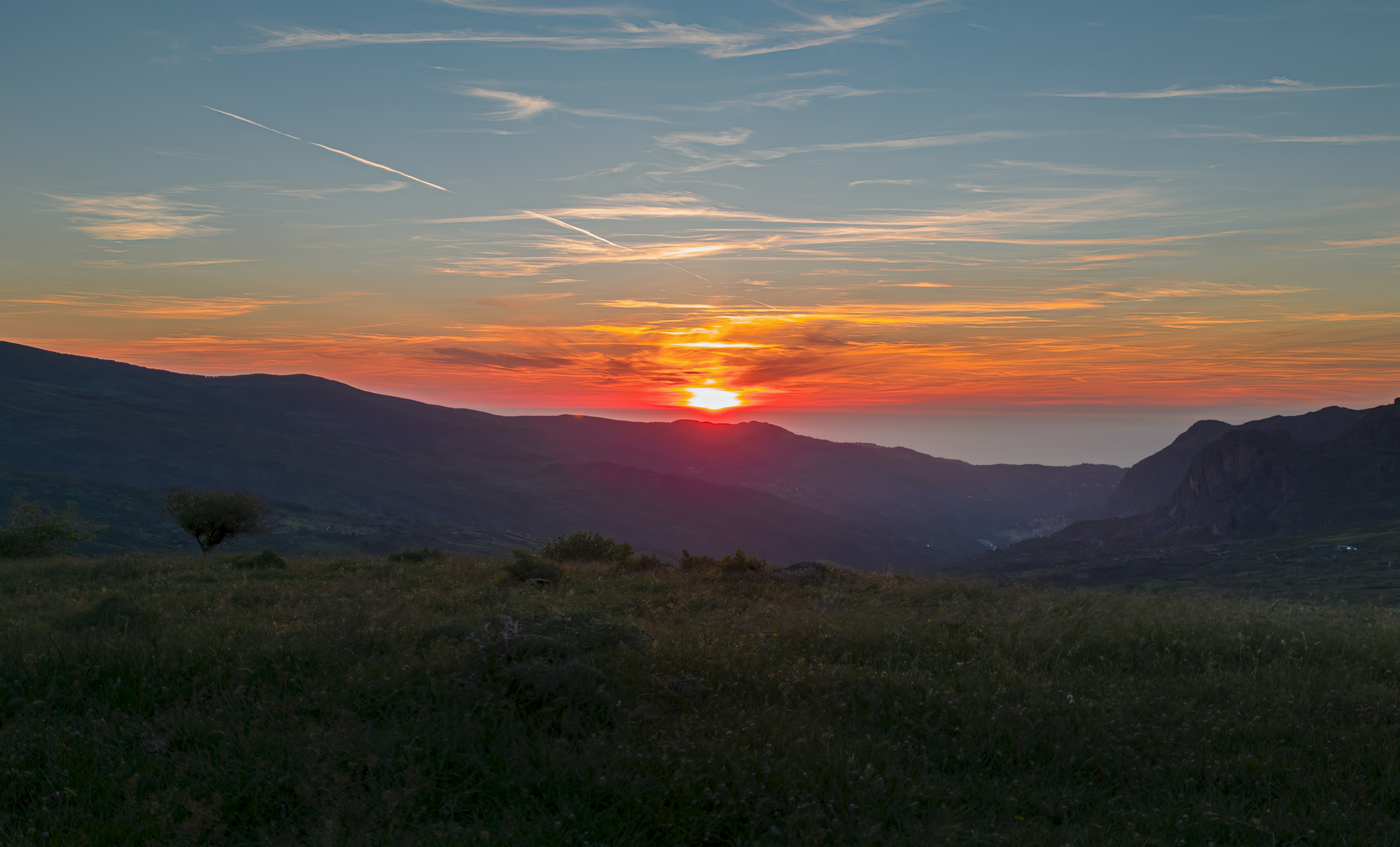 green grass field during sunset
