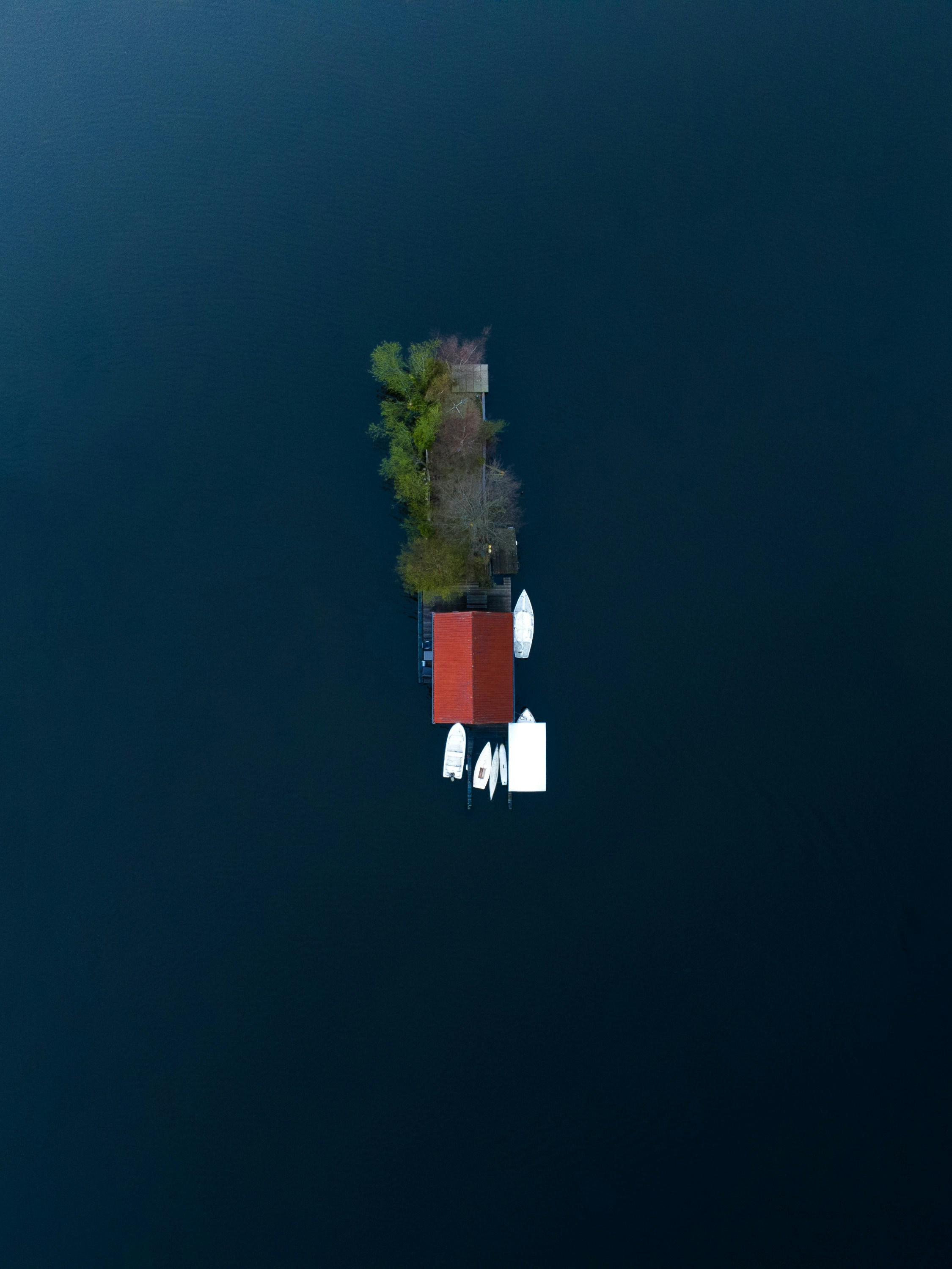 self isolation    @dan.asaki