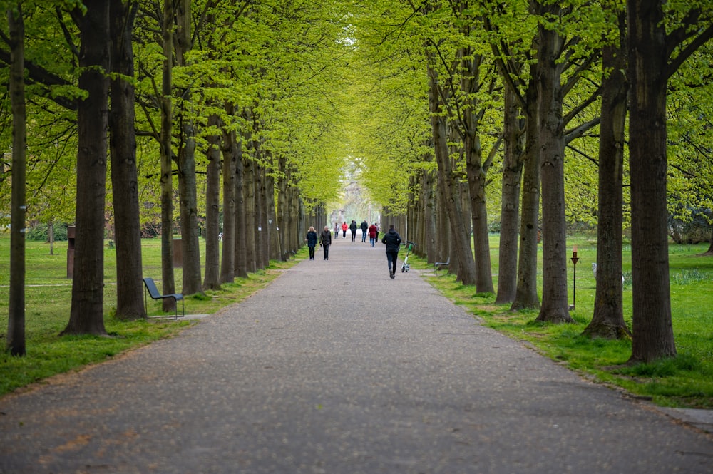 people walking on gray concrete road between green trees during daytime