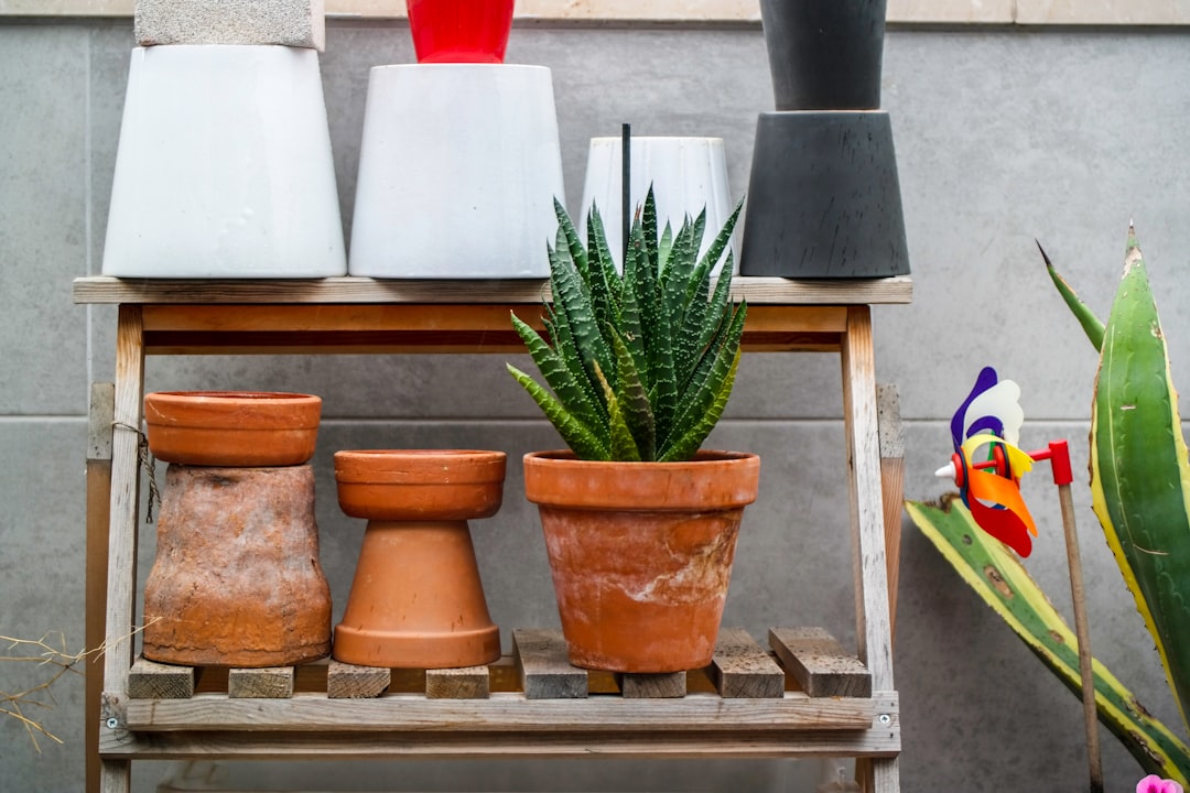 brown clay pot on gray shelf