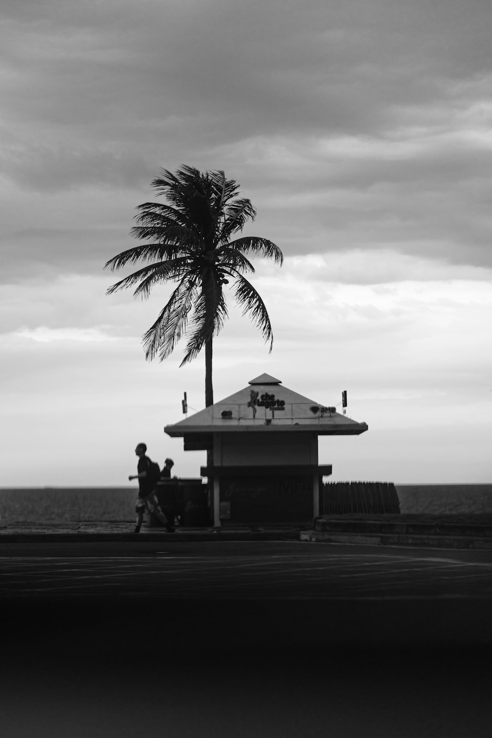 grayscale photo of 2 people sitting on bench near palm tree
