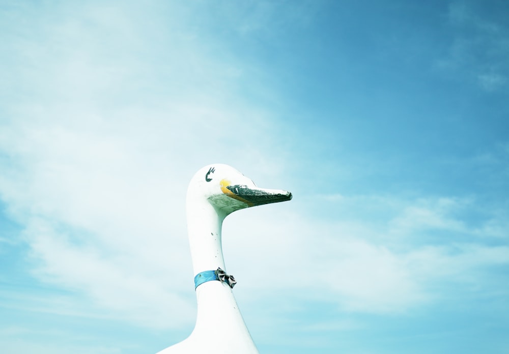 weißer Vogel unter blauem Himmel tagsüber