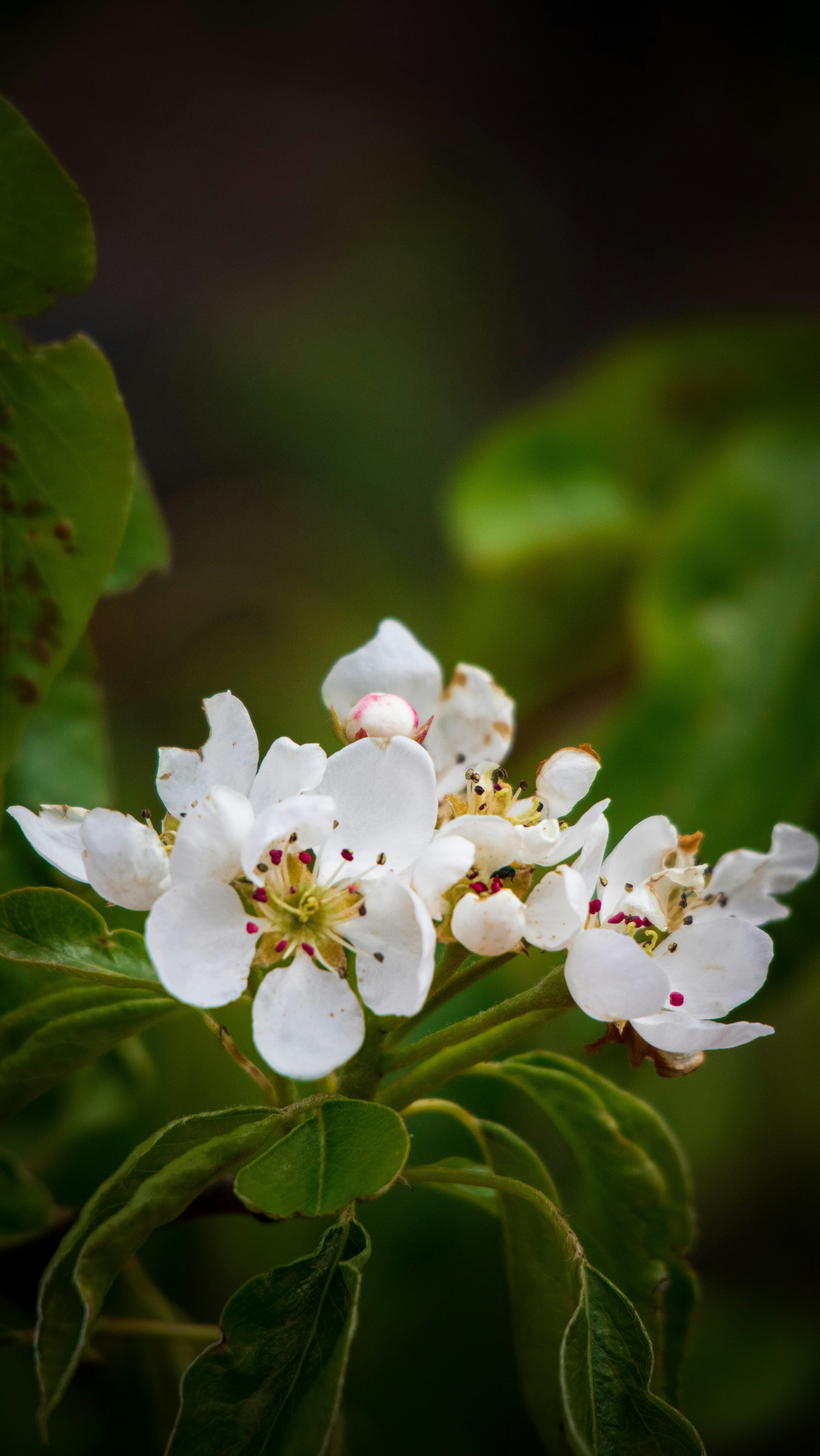 Photo by claire_zhu_