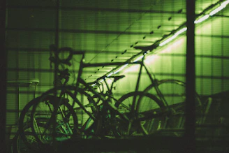 A dynamic shot of bicycles and e-bikes ready for adventure under soft lighting.