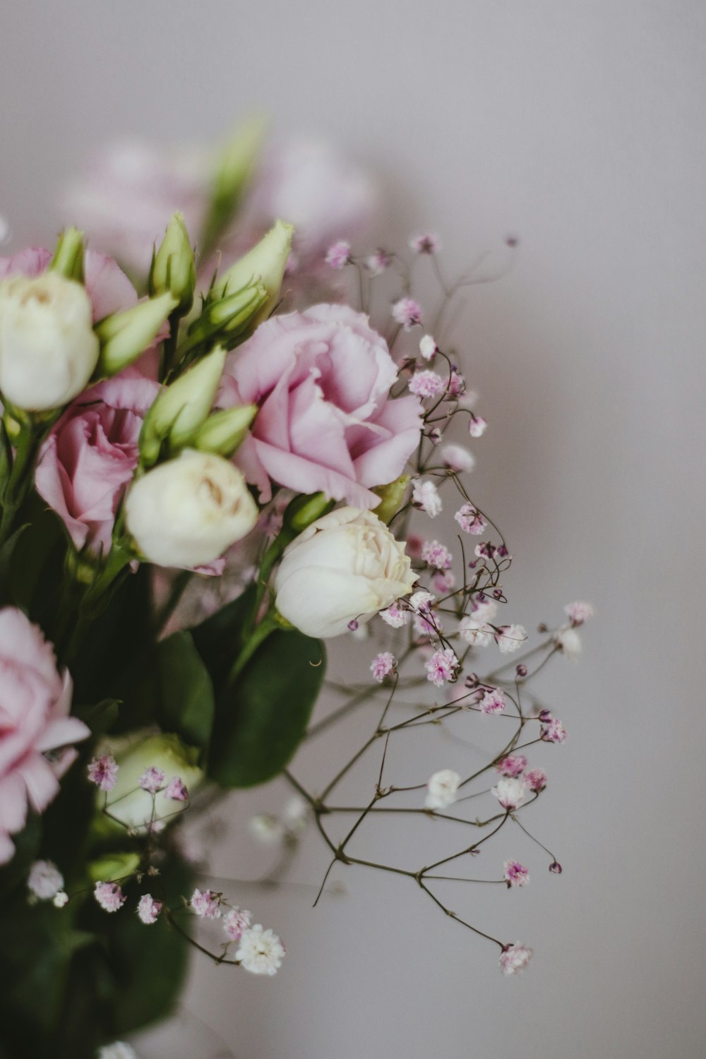 white and purple flowers in tilt shift lens