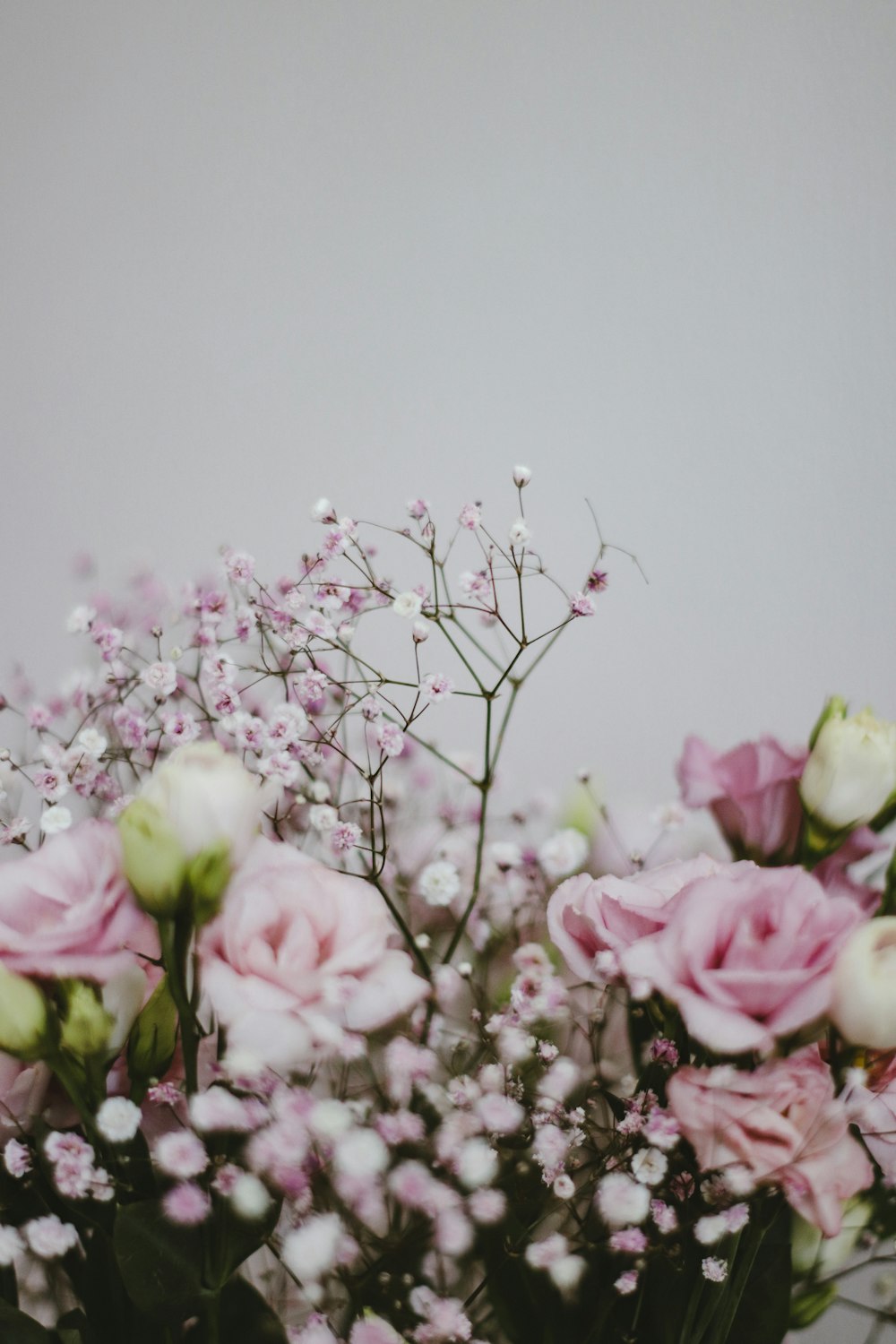 Delicate white and pink flowers heaped together · Free Stock Photo