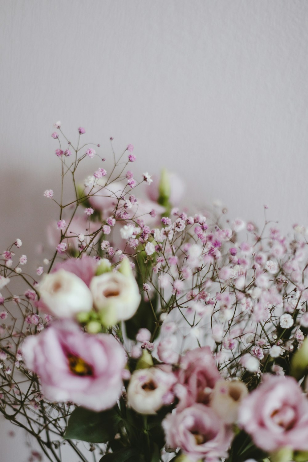 white and purple flowers in tilt shift lens