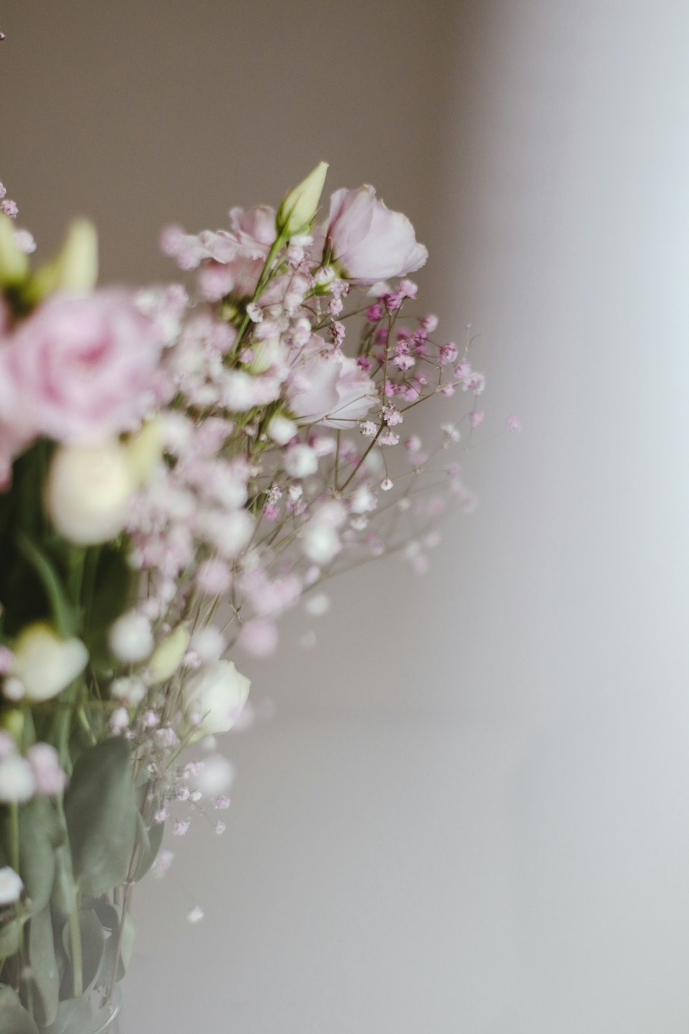 white and purple flowers in tilt shift lens