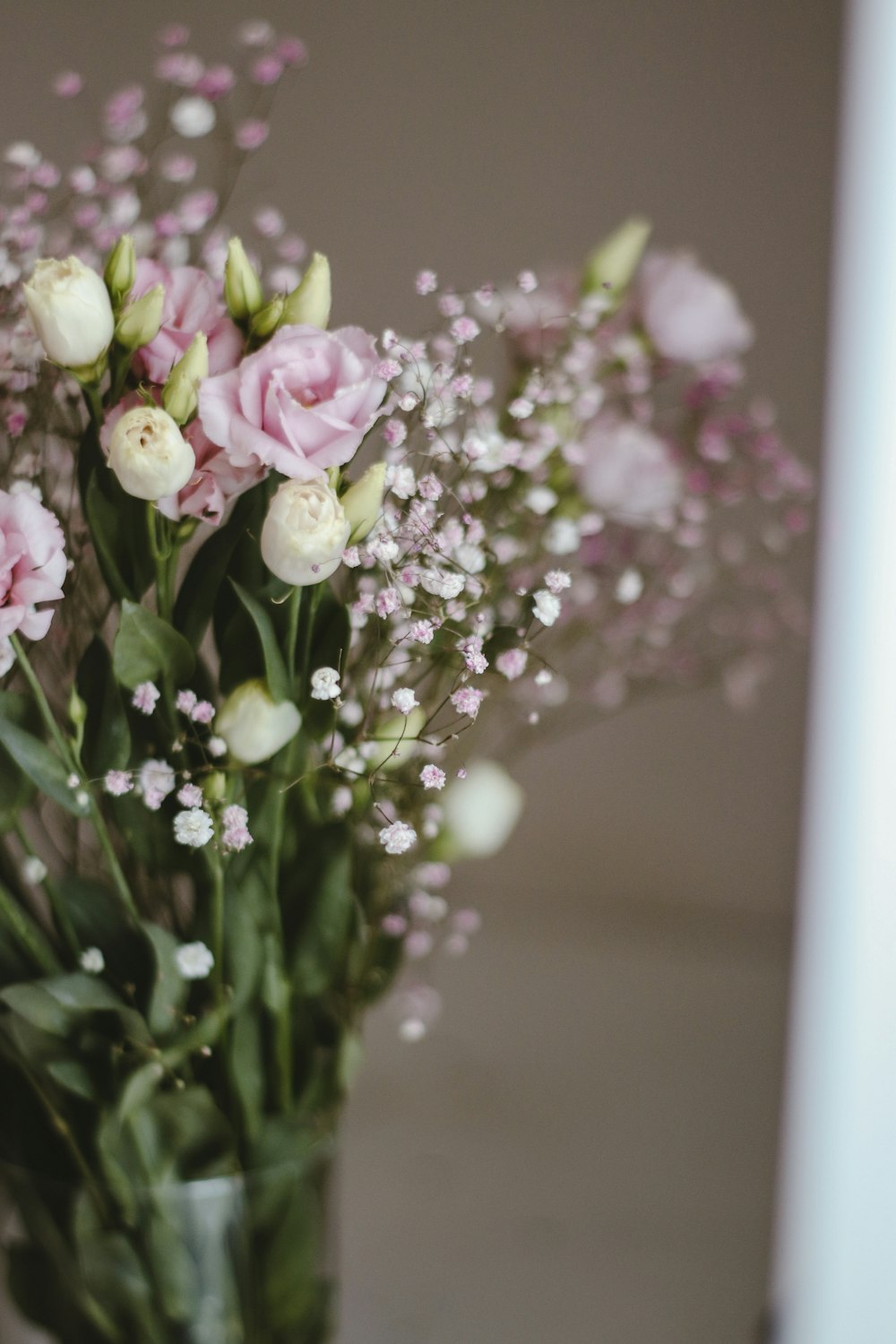 pink and white flowers in tilt shift lens