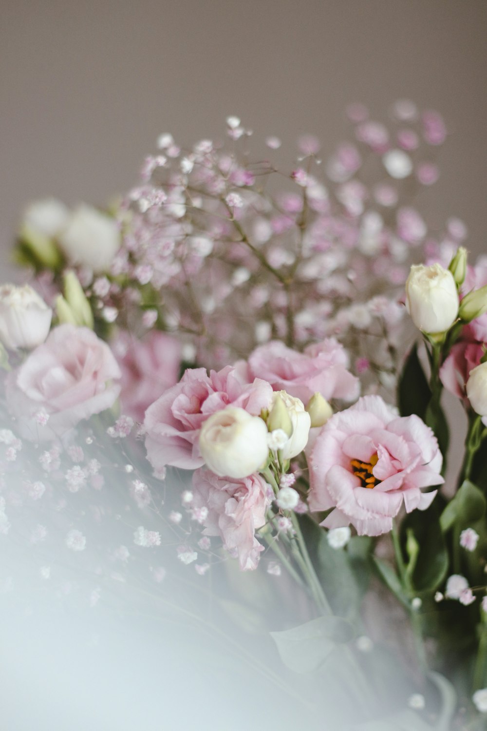 투명 유리 꽃병에 분홍색과 흰색 장미