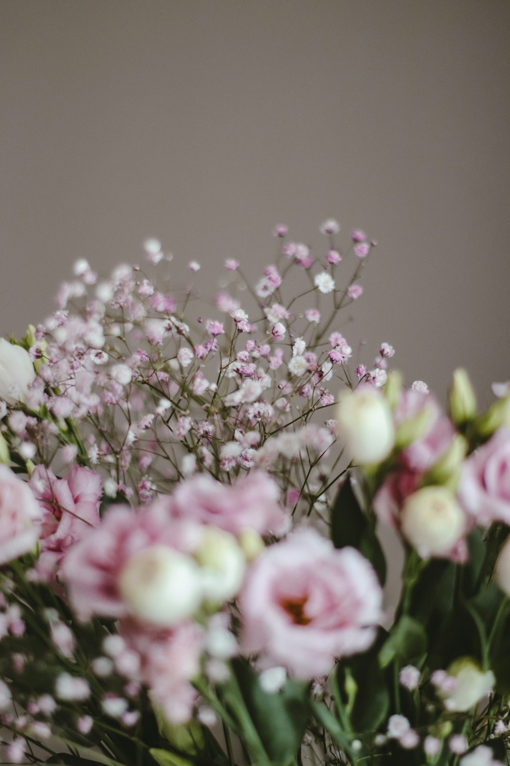 pink and white flowers in tilt shift lens