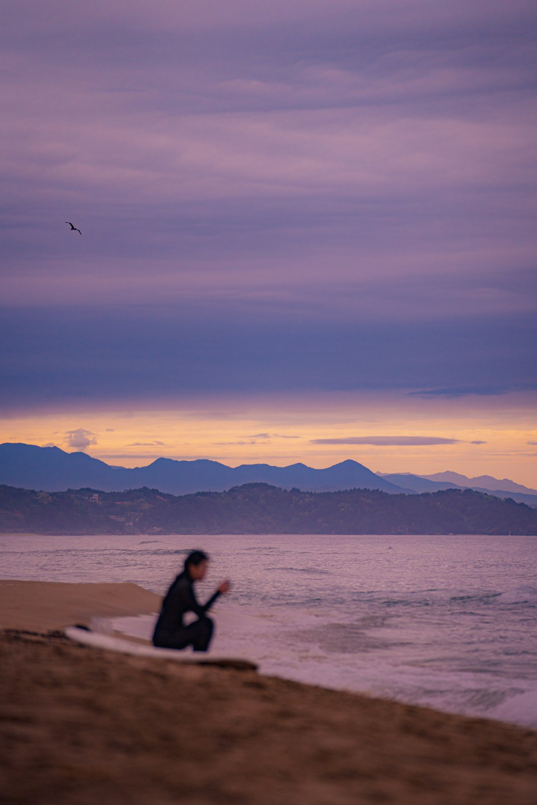 silhouette of man and woman sitting on beach shore during sunset