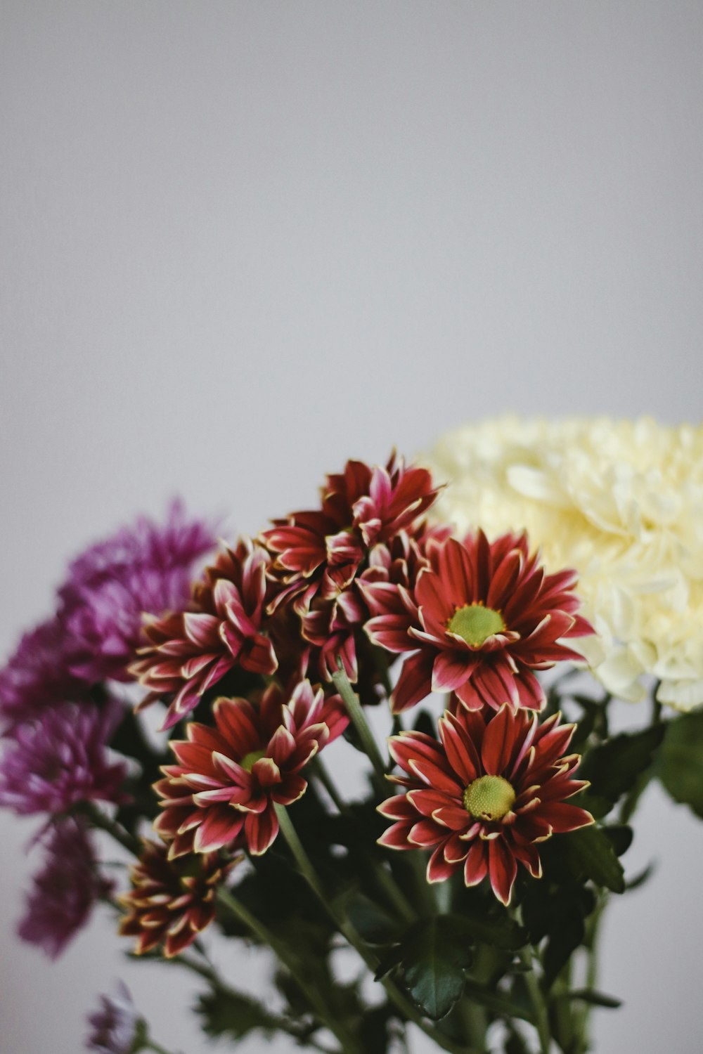 white and yellow flowers in tilt shift lens