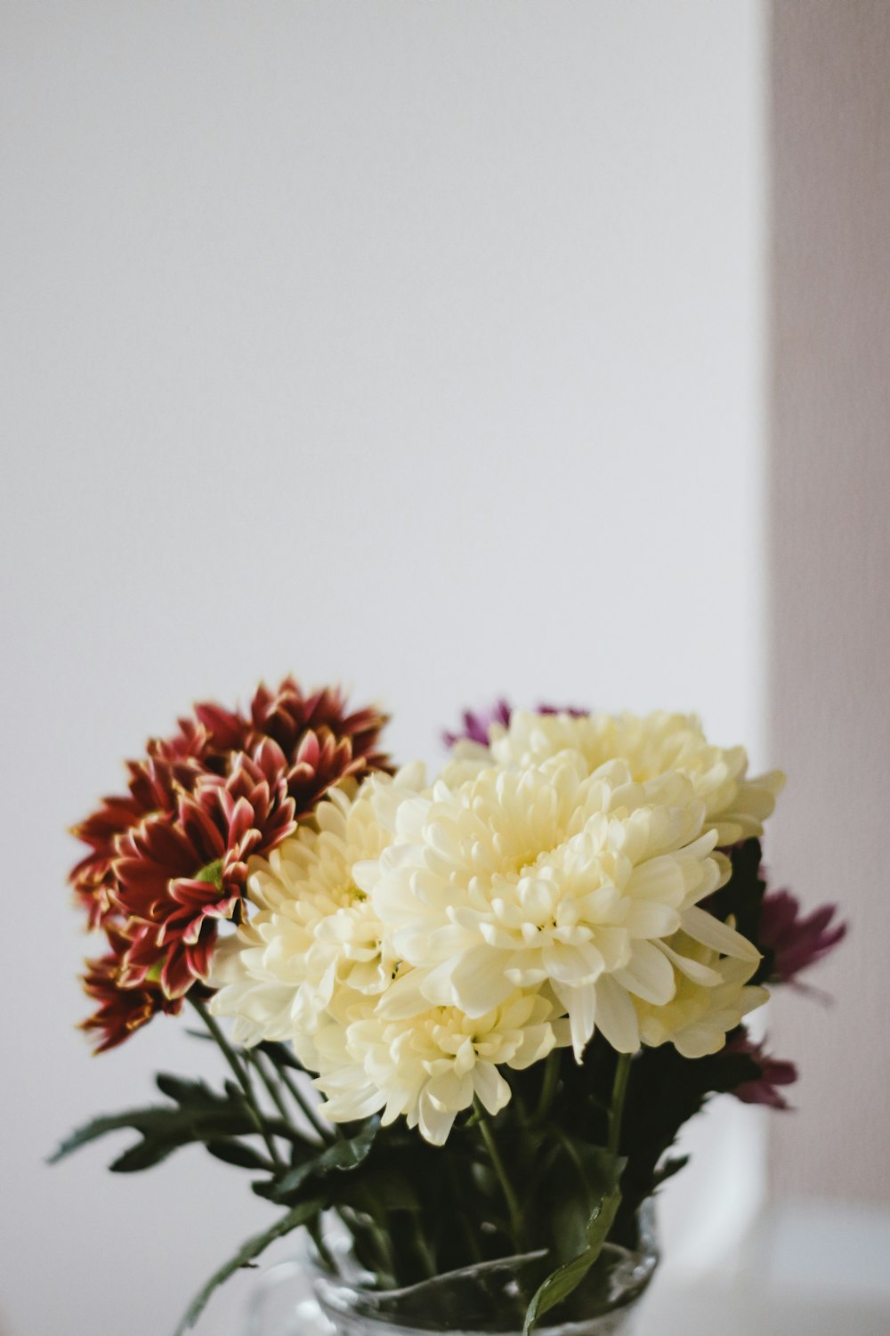 bouquet de fleurs blanches et roses