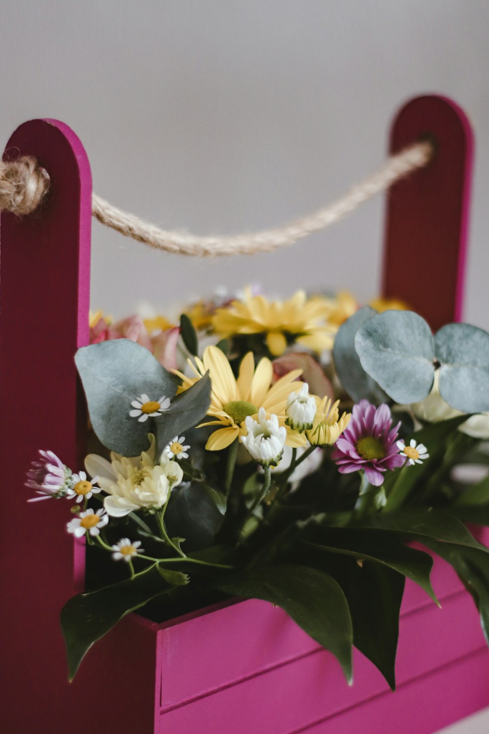 flores amarelas e roxas em flor