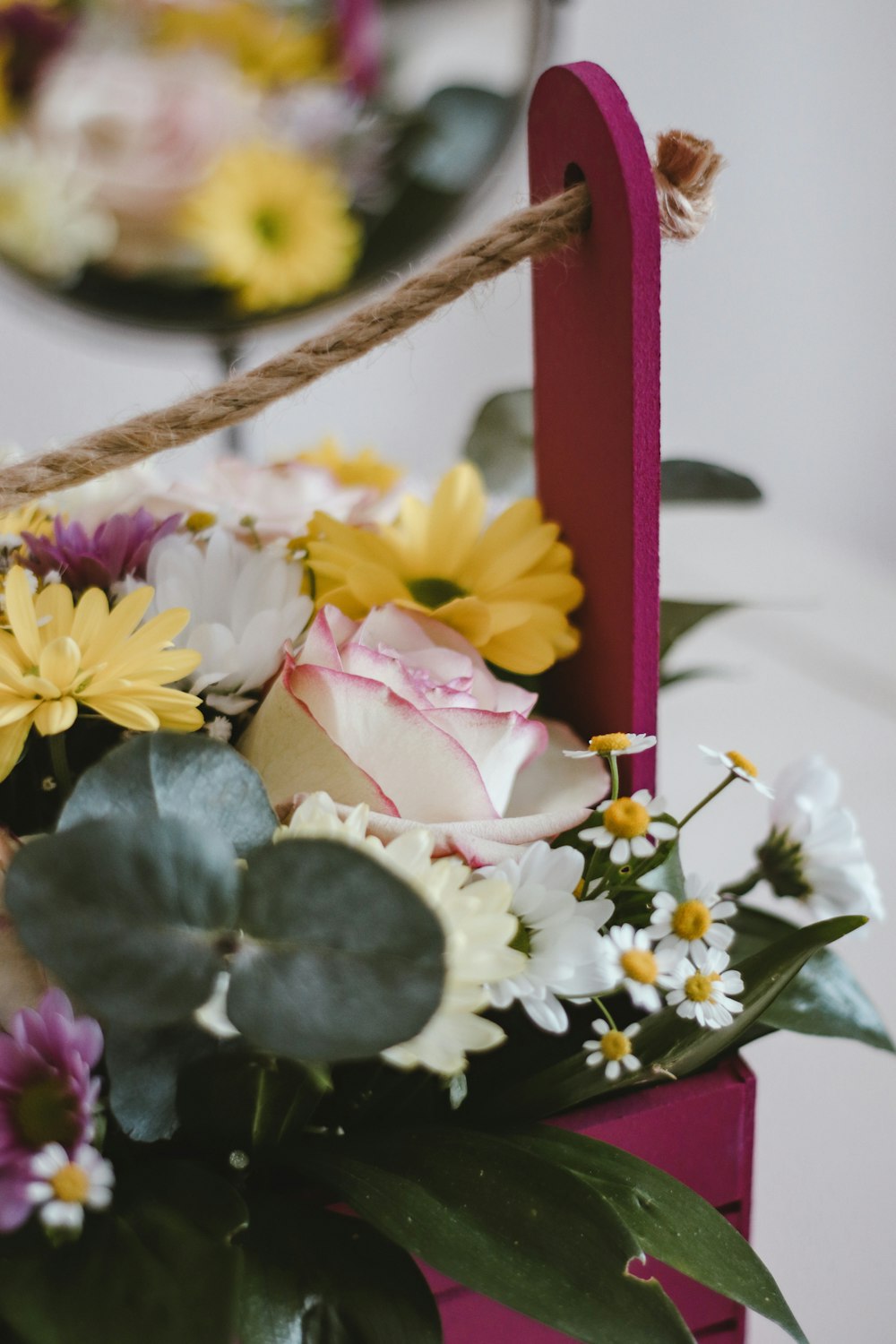 fiori bianchi e viola su bastone di legno marrone