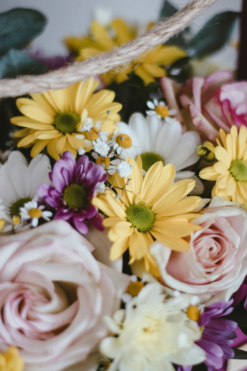 pink and yellow flowers in tilt shift lens