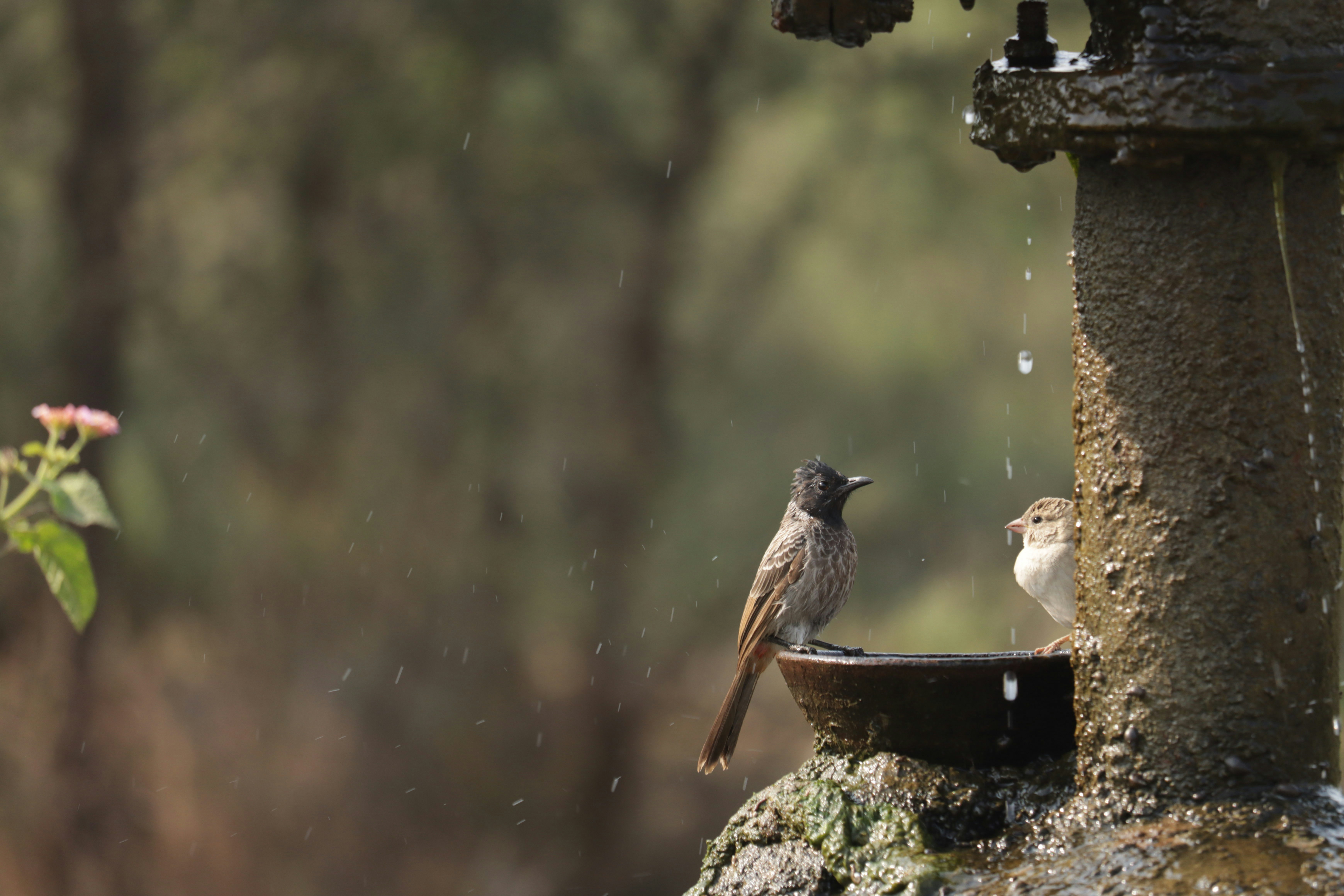 Photo by netrayash_05