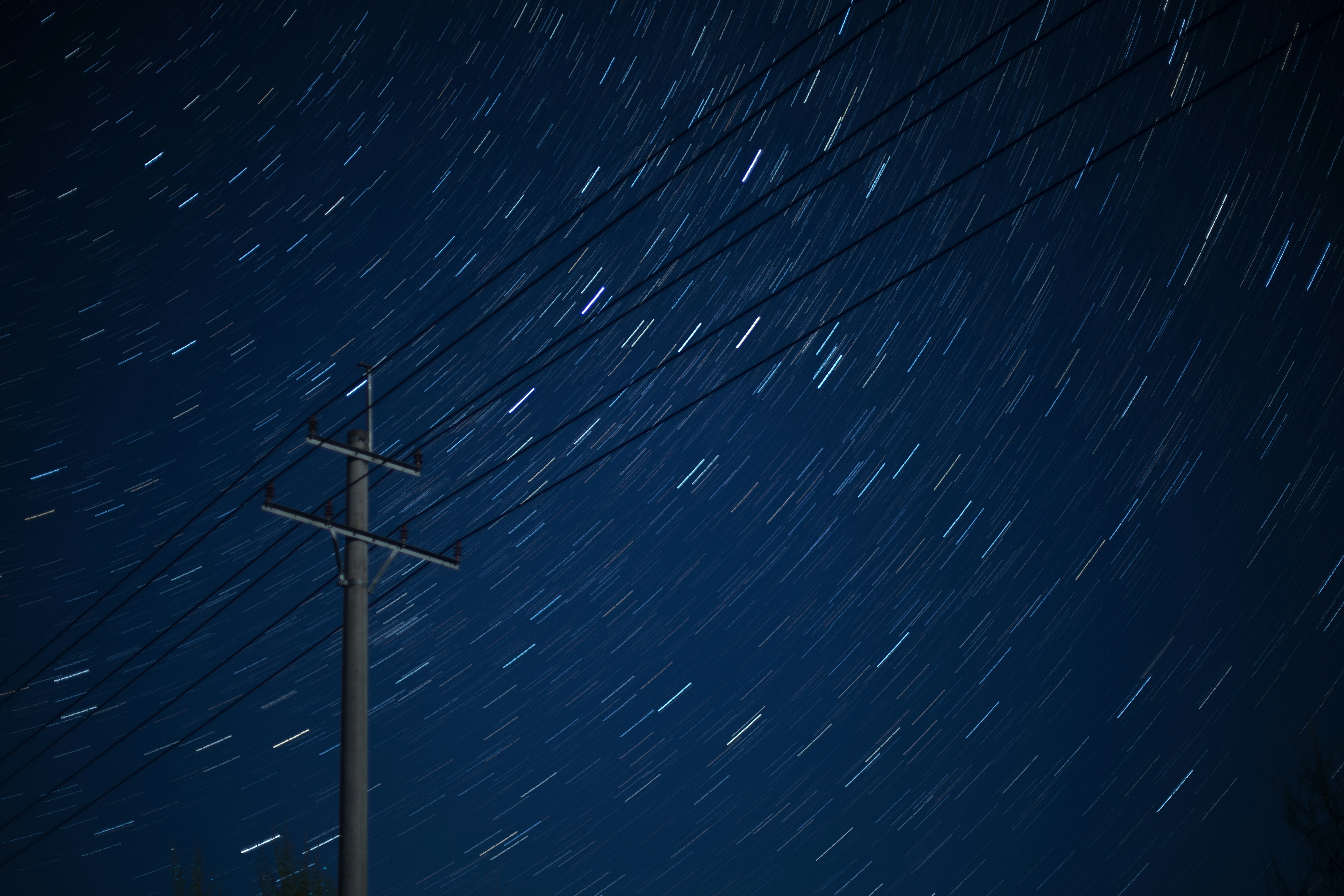 Photo by dylanluu